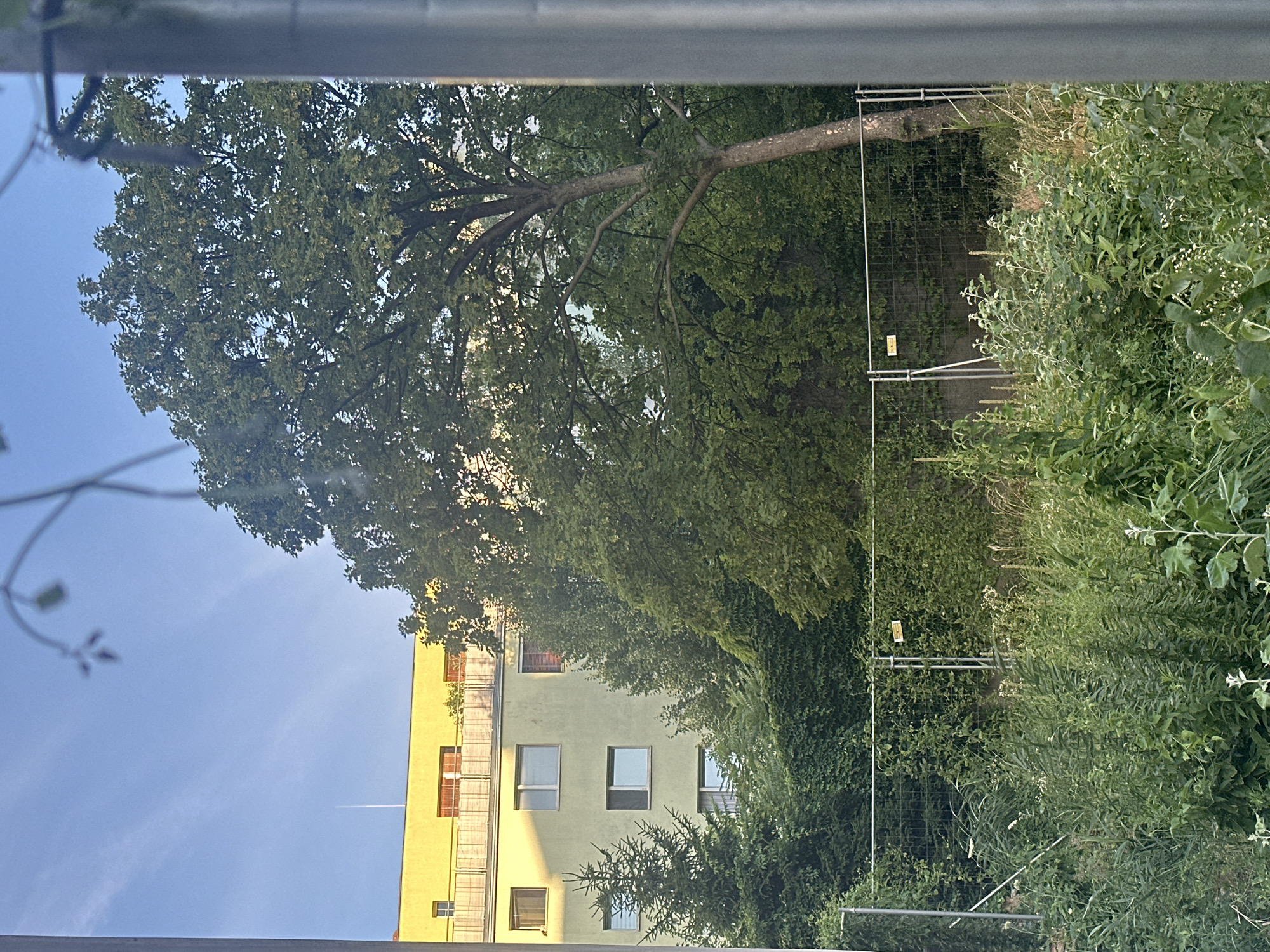 Quick street-level survey of a city neighborhood on a clear day