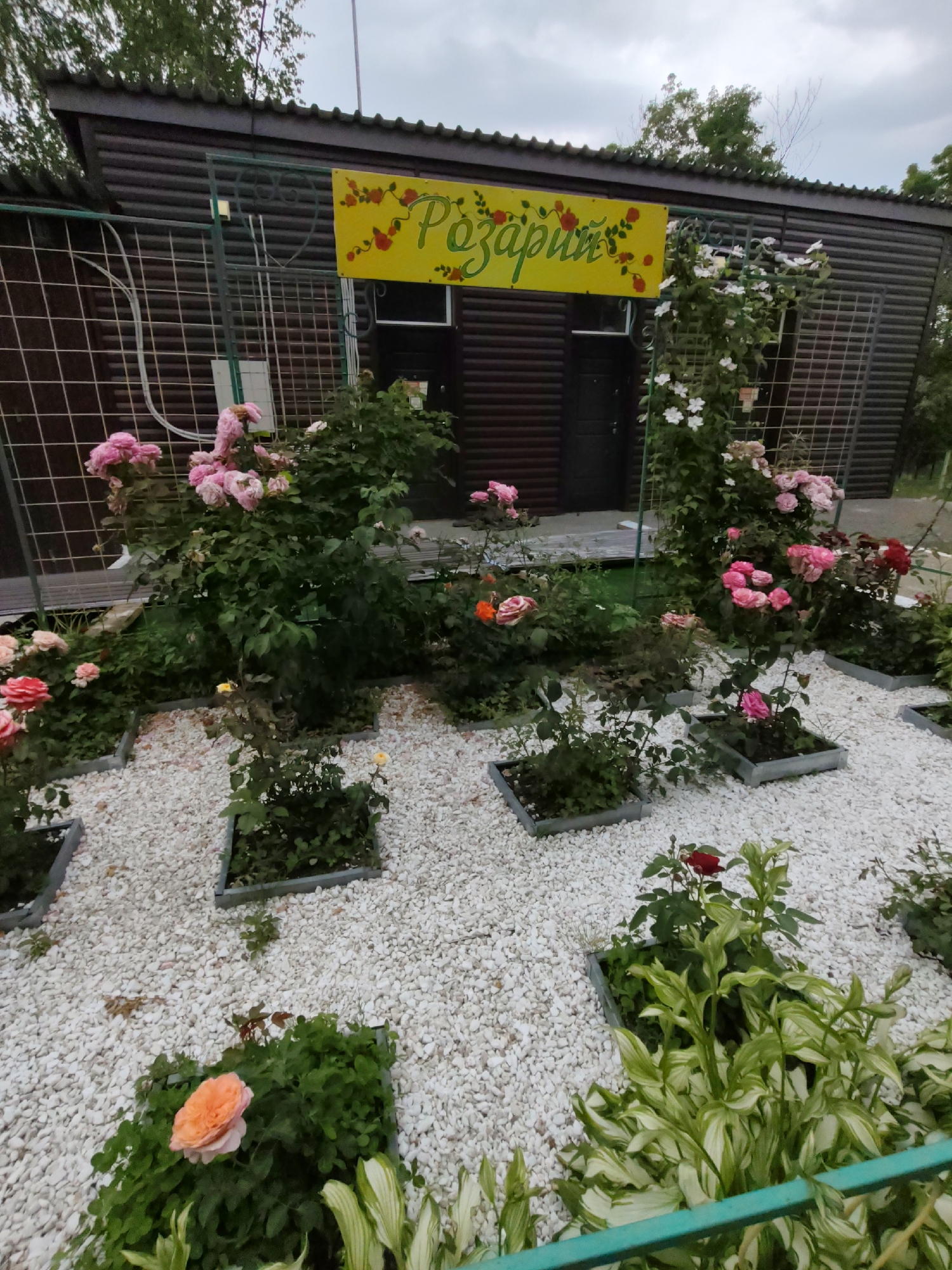 Inside a well-tended Arseniev garden full of plants and ornaments