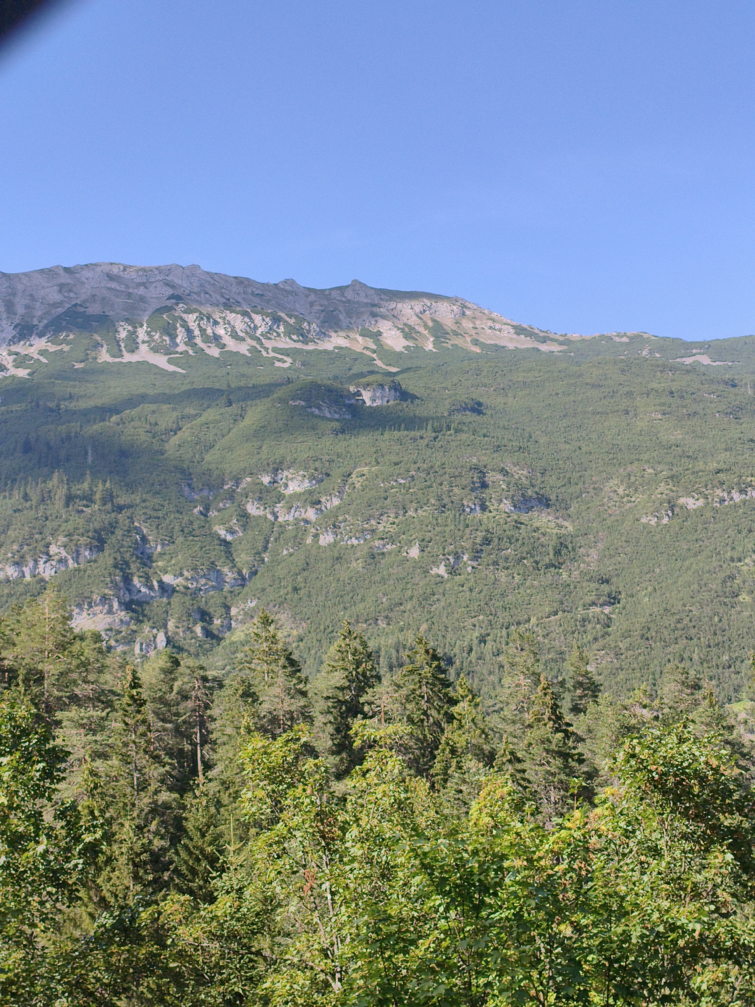 Clear summer day over forested mountain terrain in Biberwier, Austria