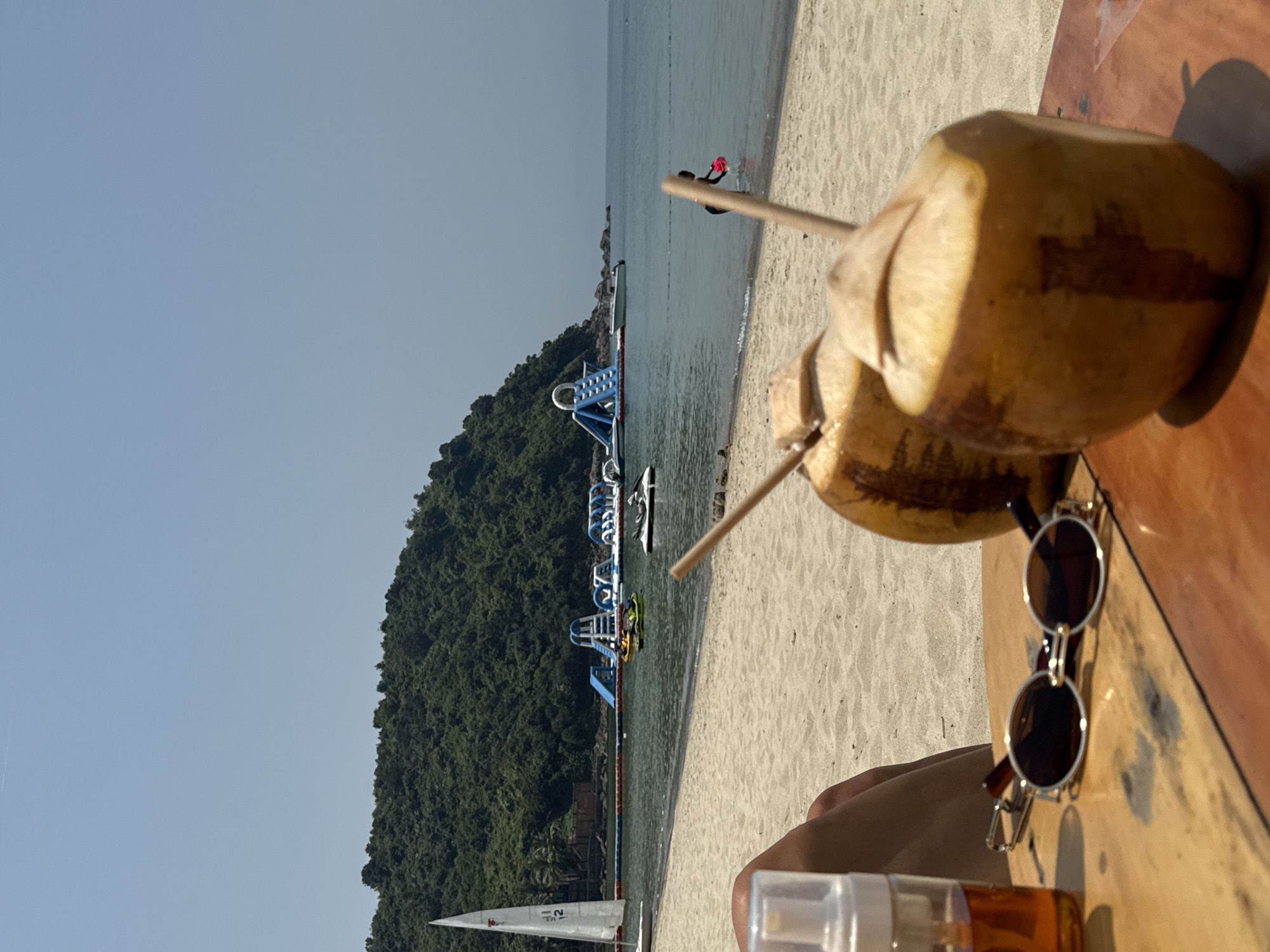 Jellyfish wash ashore at Đà Nẵng beach during morning hours