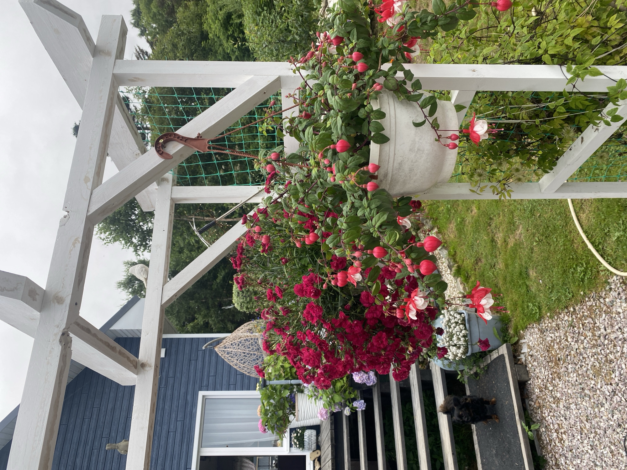 Backyard garden in full summer bloom, Tret'ya Pad'