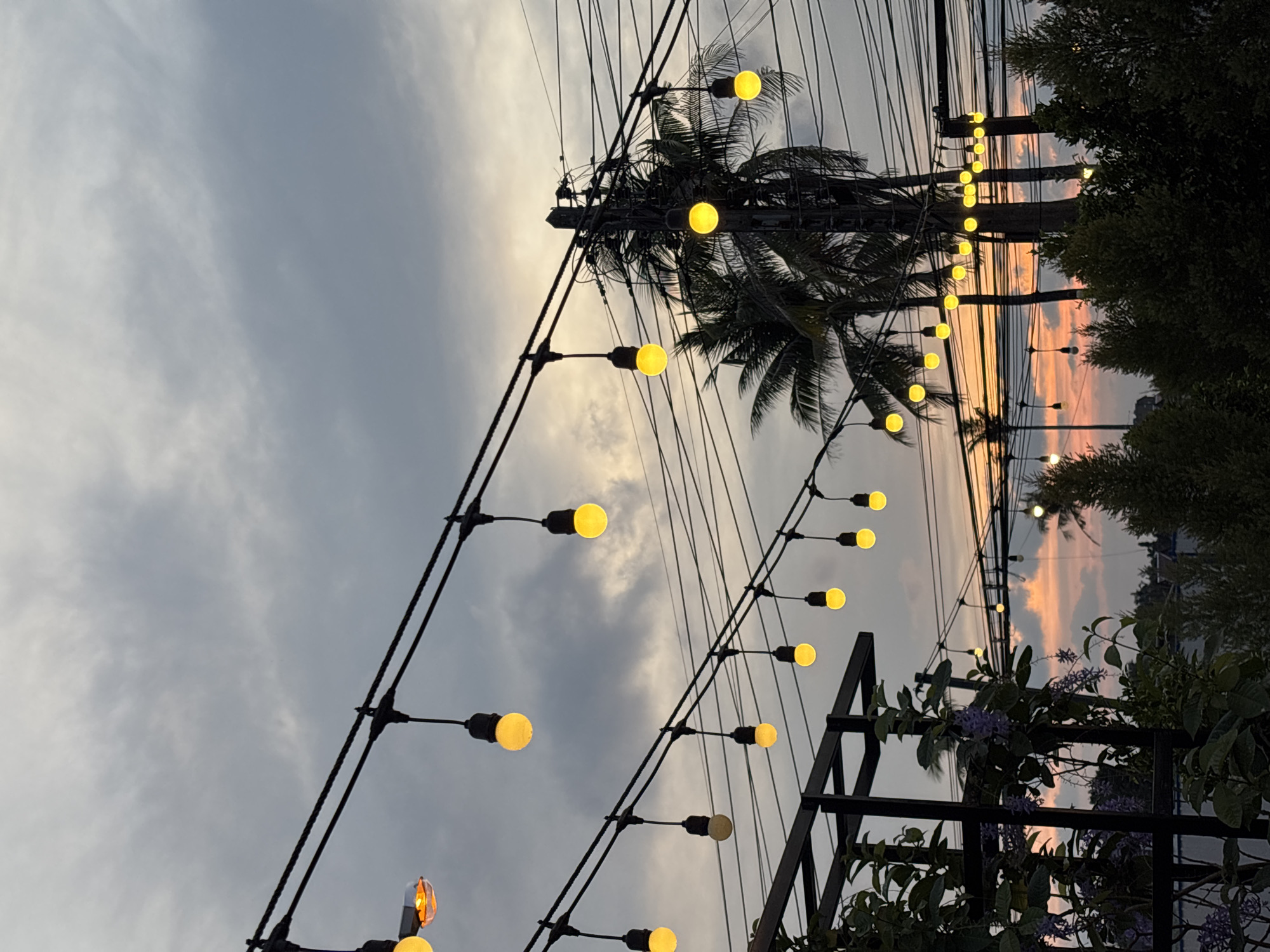 Sunset captured through palm trees in Choeng Thale, Thailand
