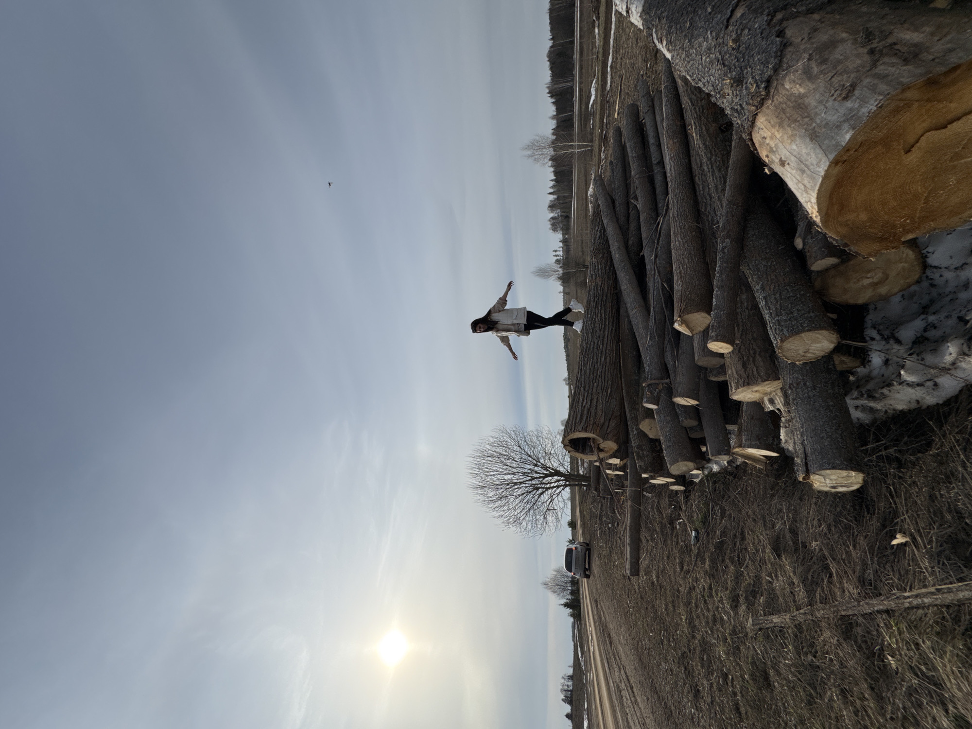 Woman poses on log pile in rural Van'ki field