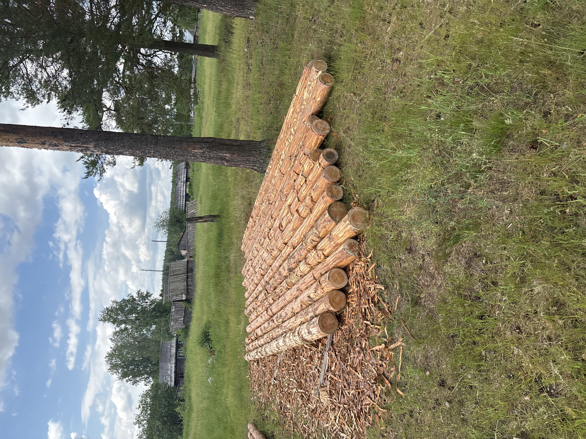 Rural Kurgan countryside exploration with wildflowers and forest paths