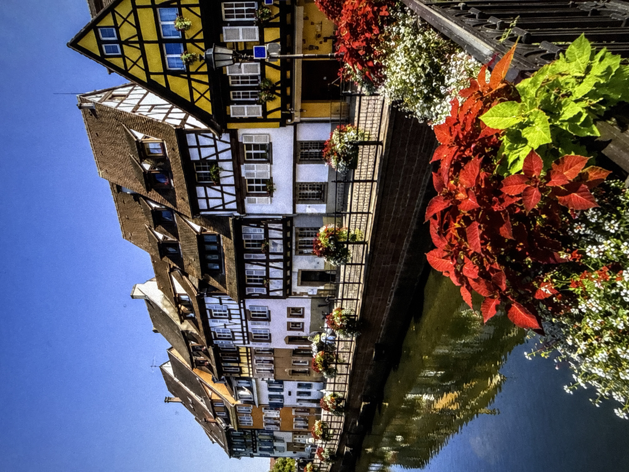 European road trip mixing alpine scenery, Monaco supercars, and countryside animals