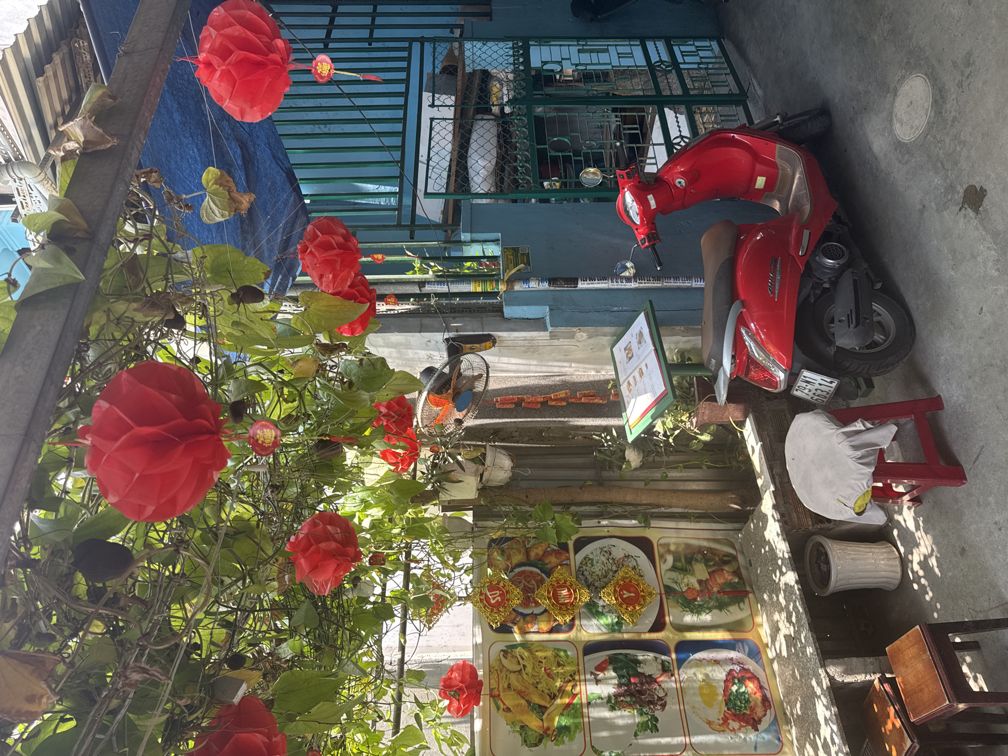 Street-side business with green foliage, red decorations captured