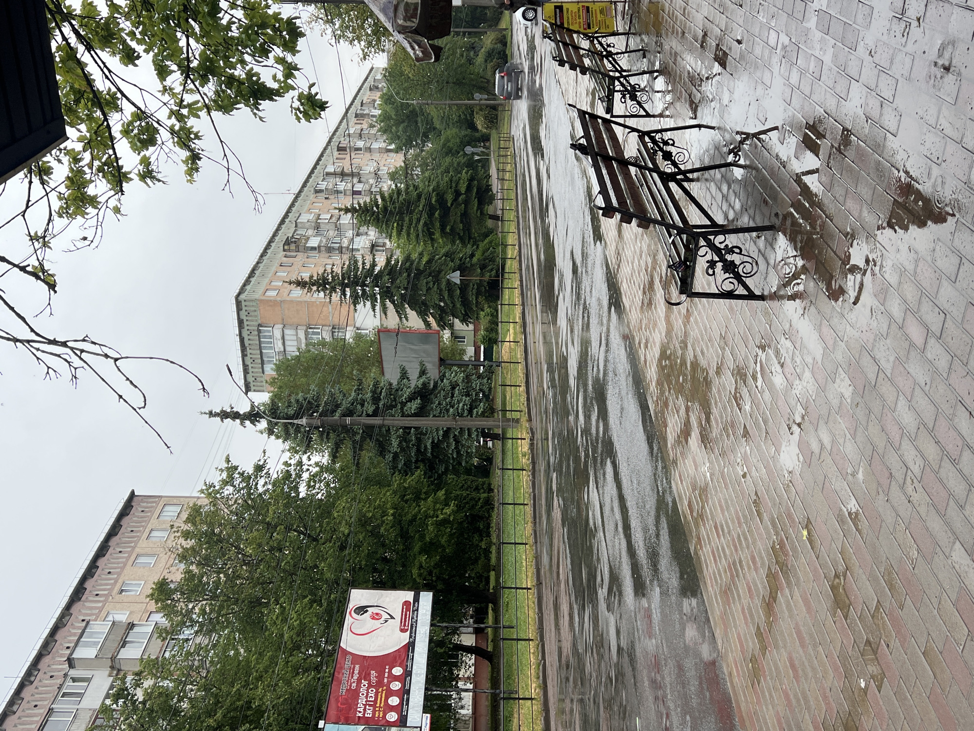 Morning rain scenes and flower market documented in Ternopil