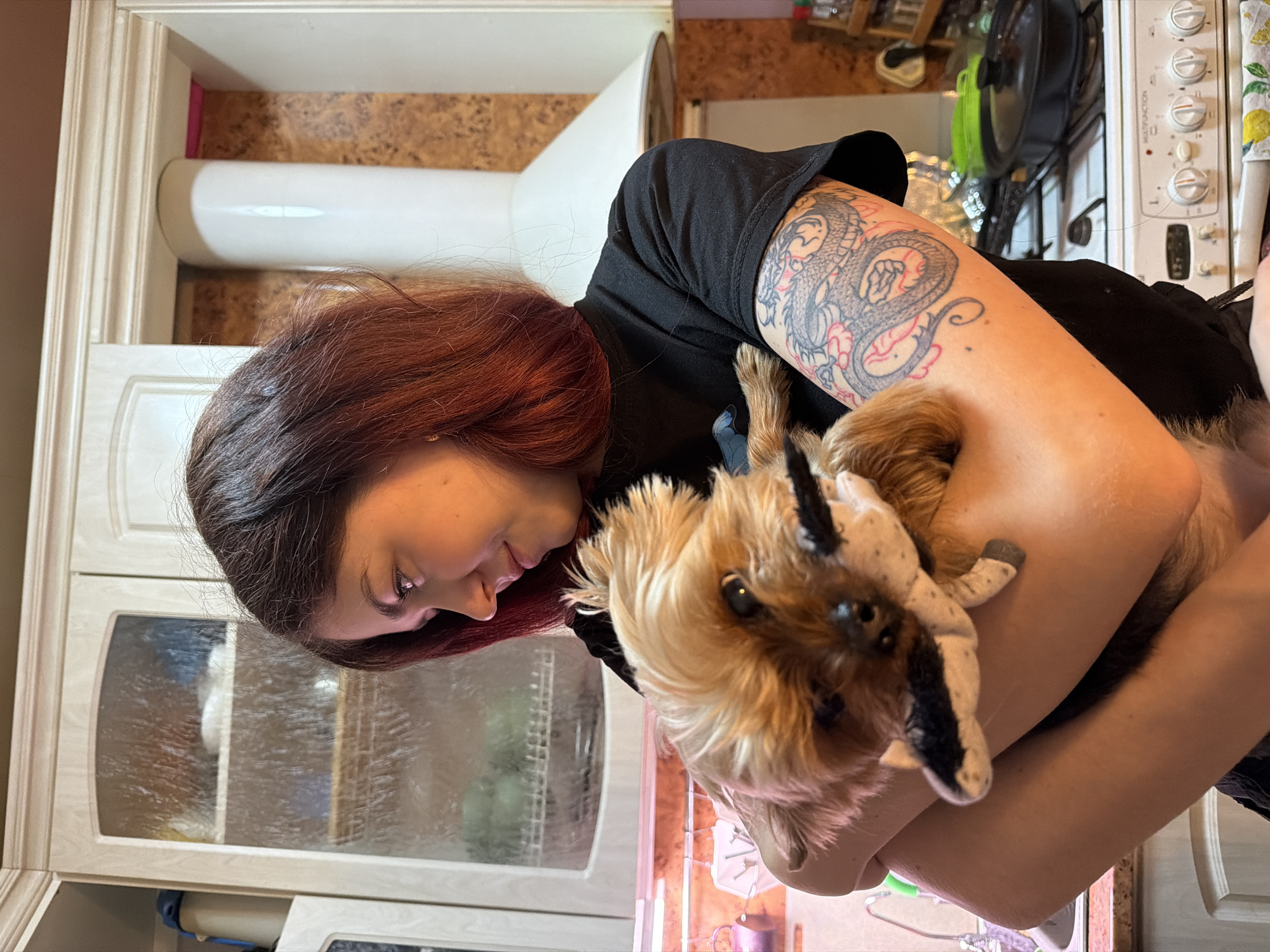 Woman holds dressed dog with toy in Murmansk