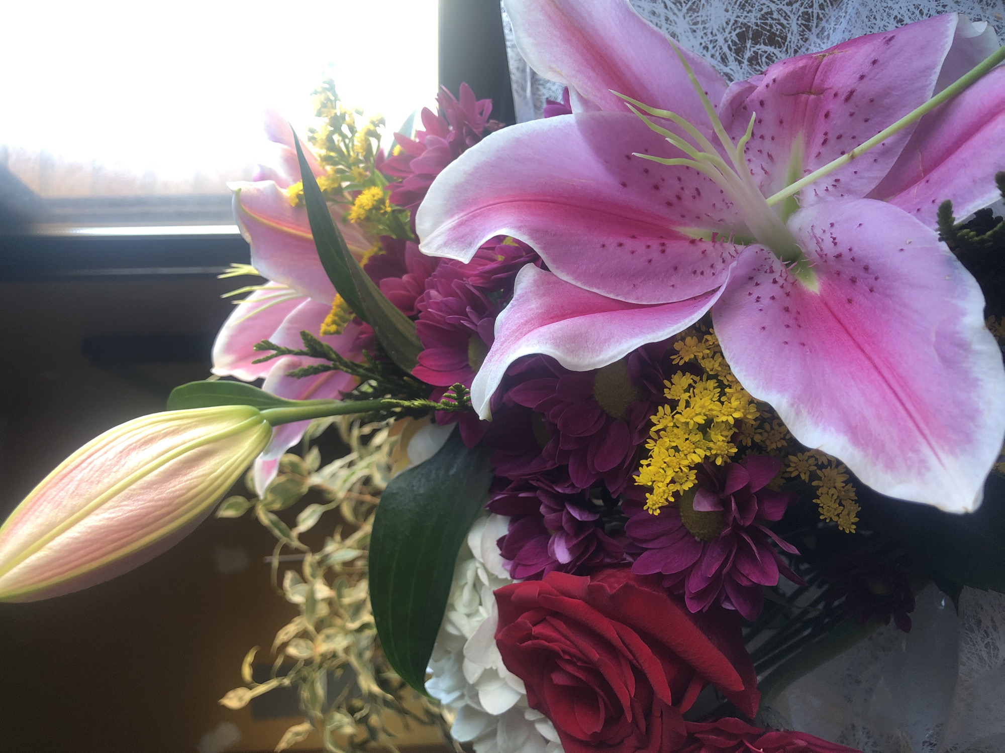 Witness documents flowers and caged bird in unknown location