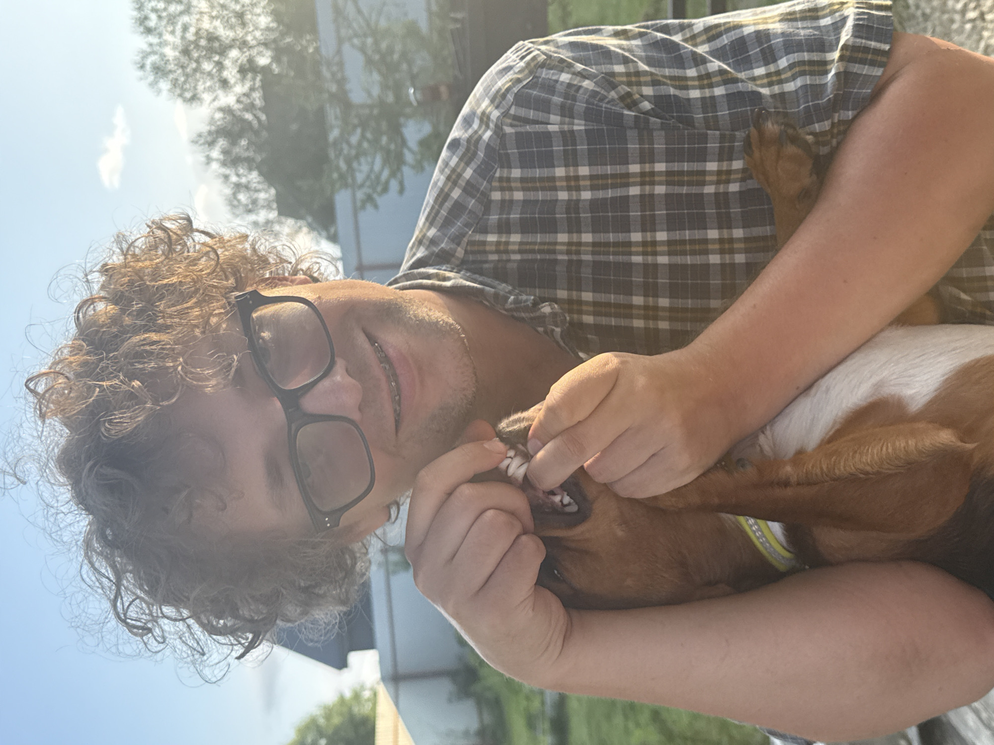 Backyard afternoon in Lyady: dogs, garden, and lawn care
