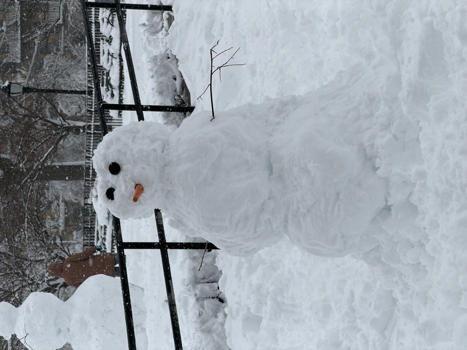 Dog plays as New Yorkers build snowmen during snowfall