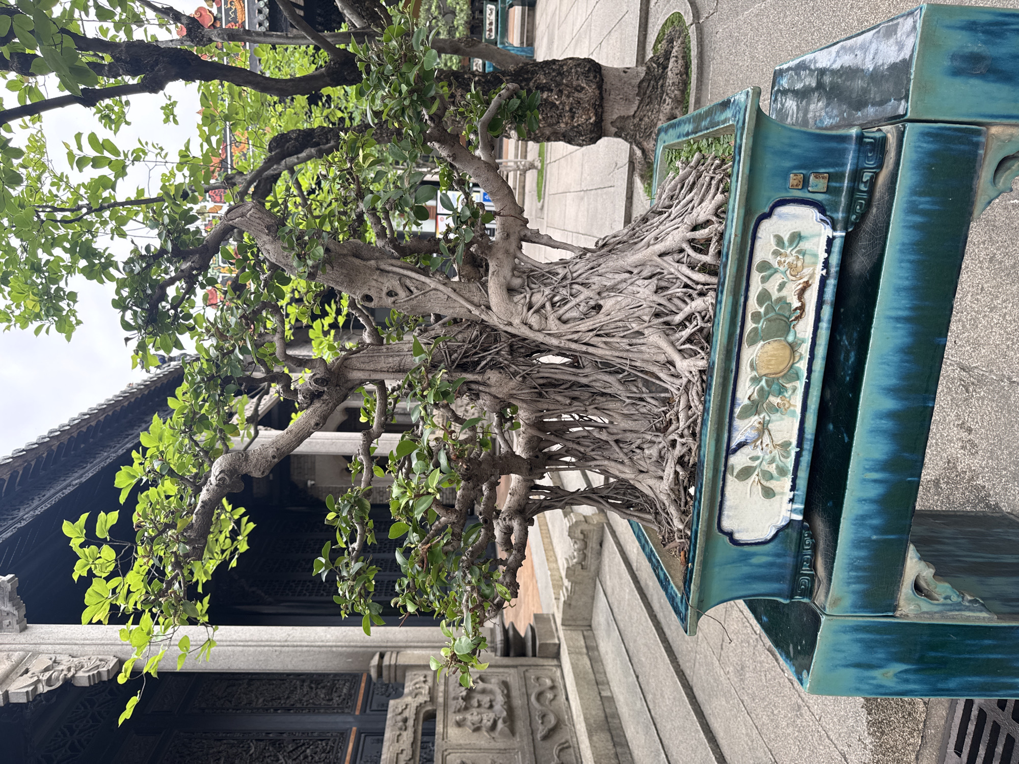Traditional Chinese art and bonsai observed in Liwan District