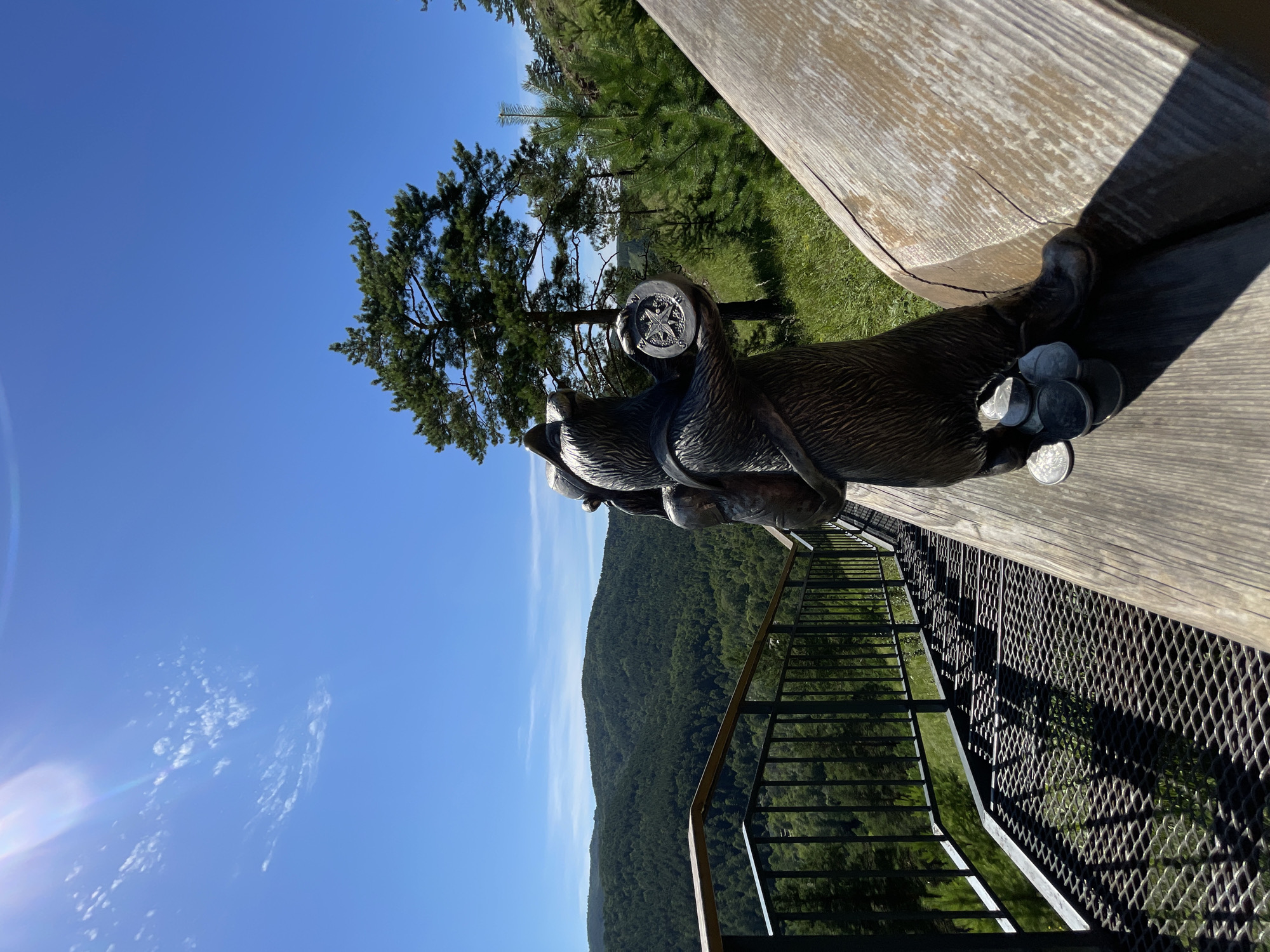Bear statue and forest views from a Krasnoyarsk hillside overlook