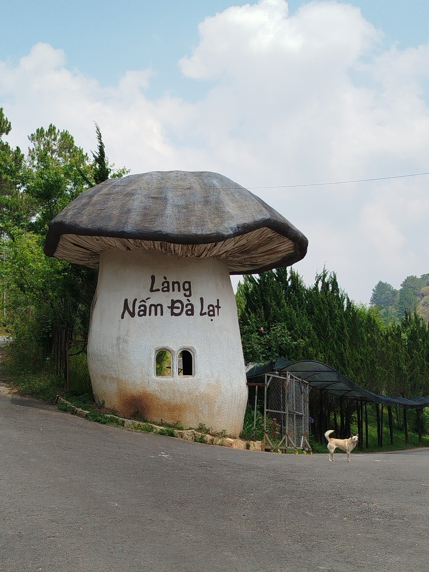 Early morning documentation of roadside structures in Da Lat