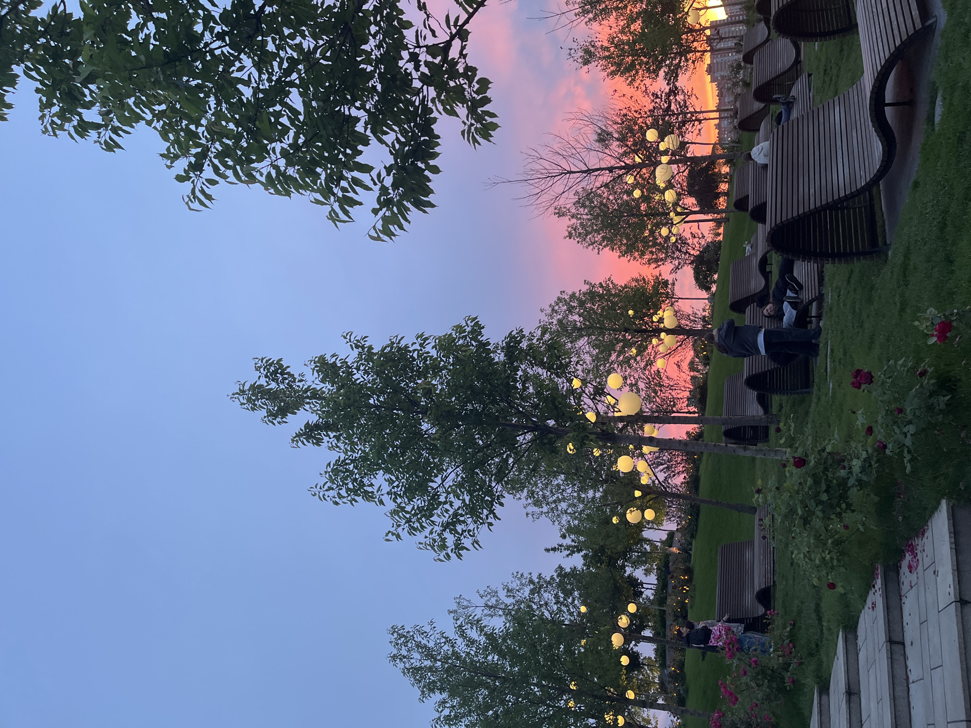 Sunset captured at Krasnodar park with blooming roses