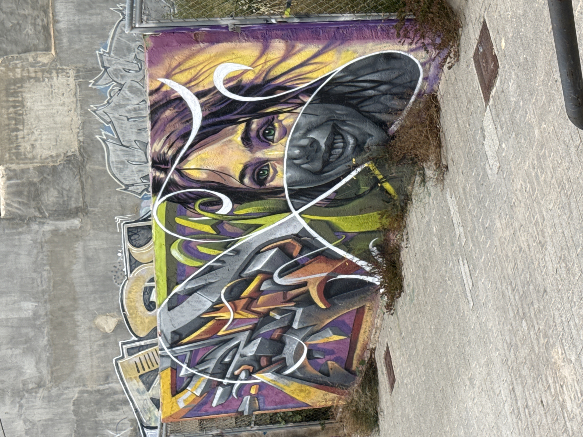 Morning street art and blooming trees observed in urban area