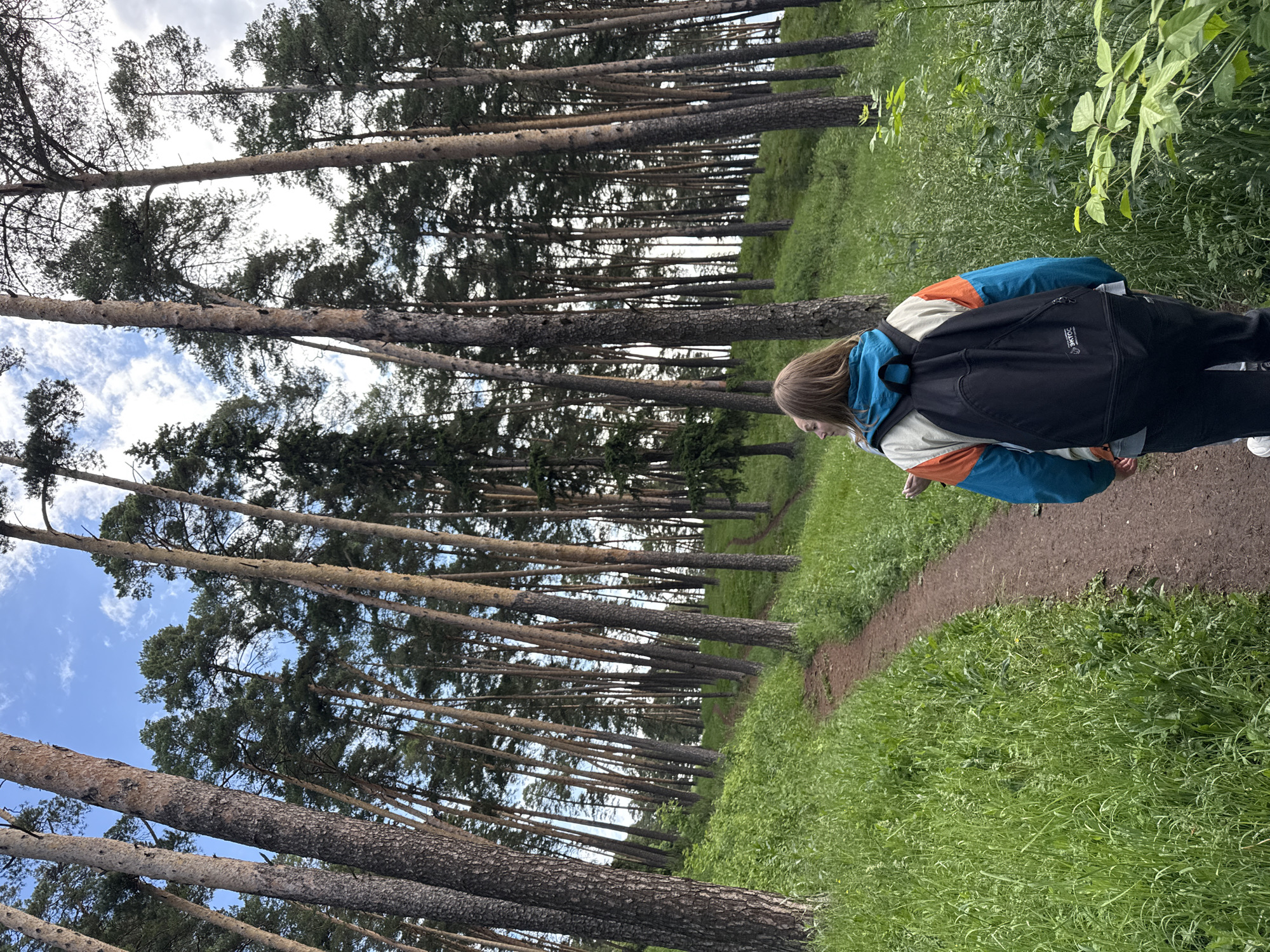 Morning forest walk documented in Sarapul, Russia