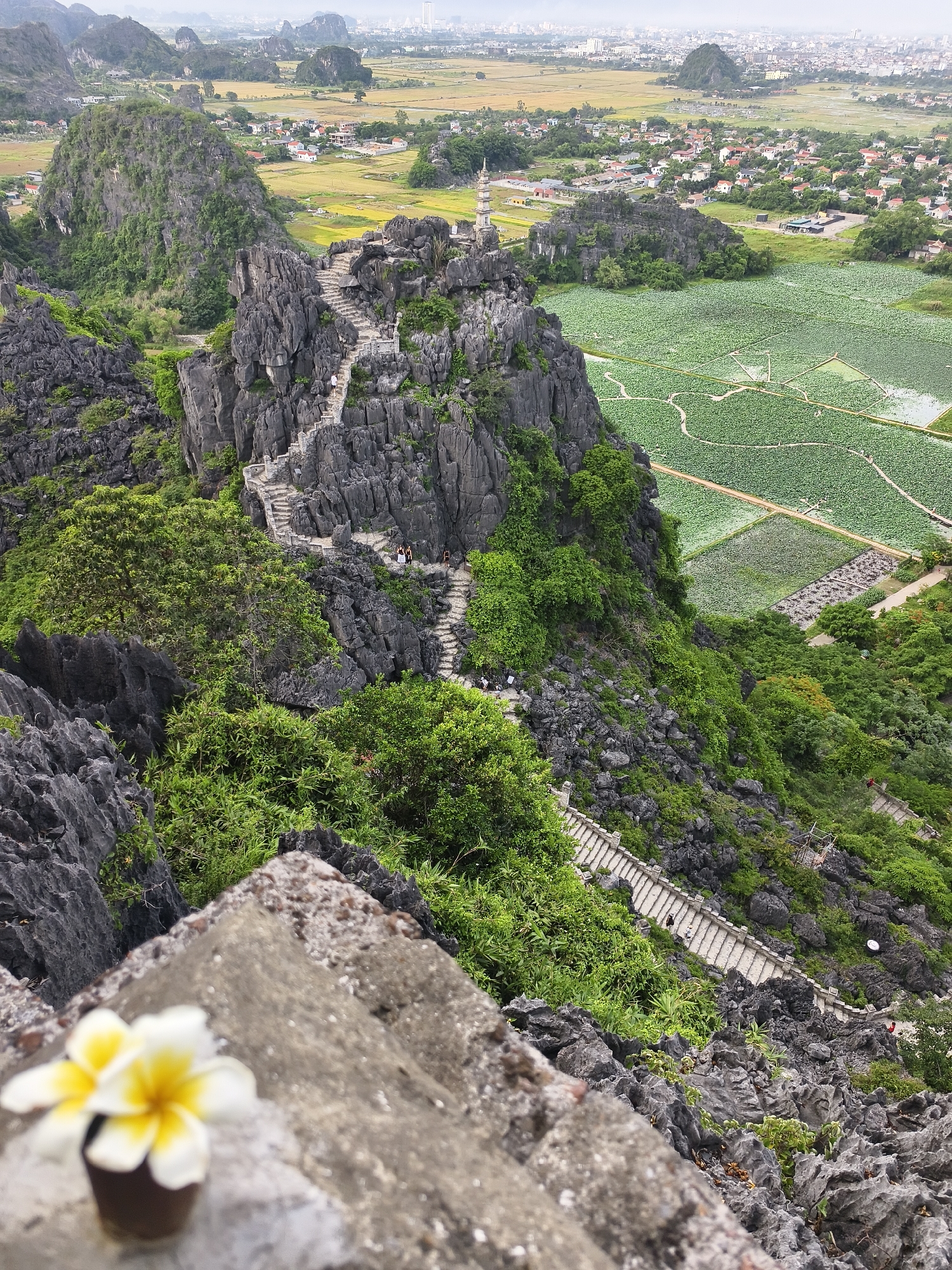 Tourists explore Vietnam's karst mountains and lotus fields
