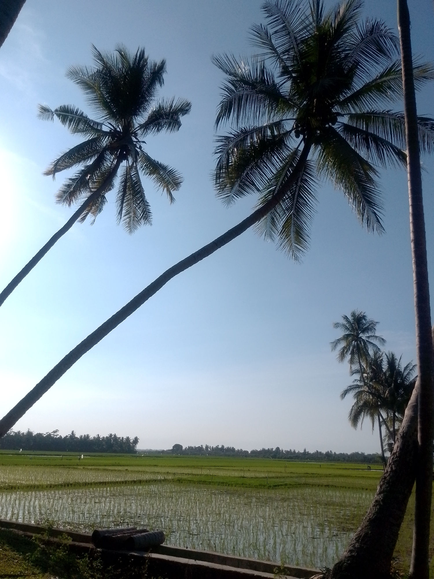 Rural Aceh: farmland, palm trees, and a combine harvester under repair