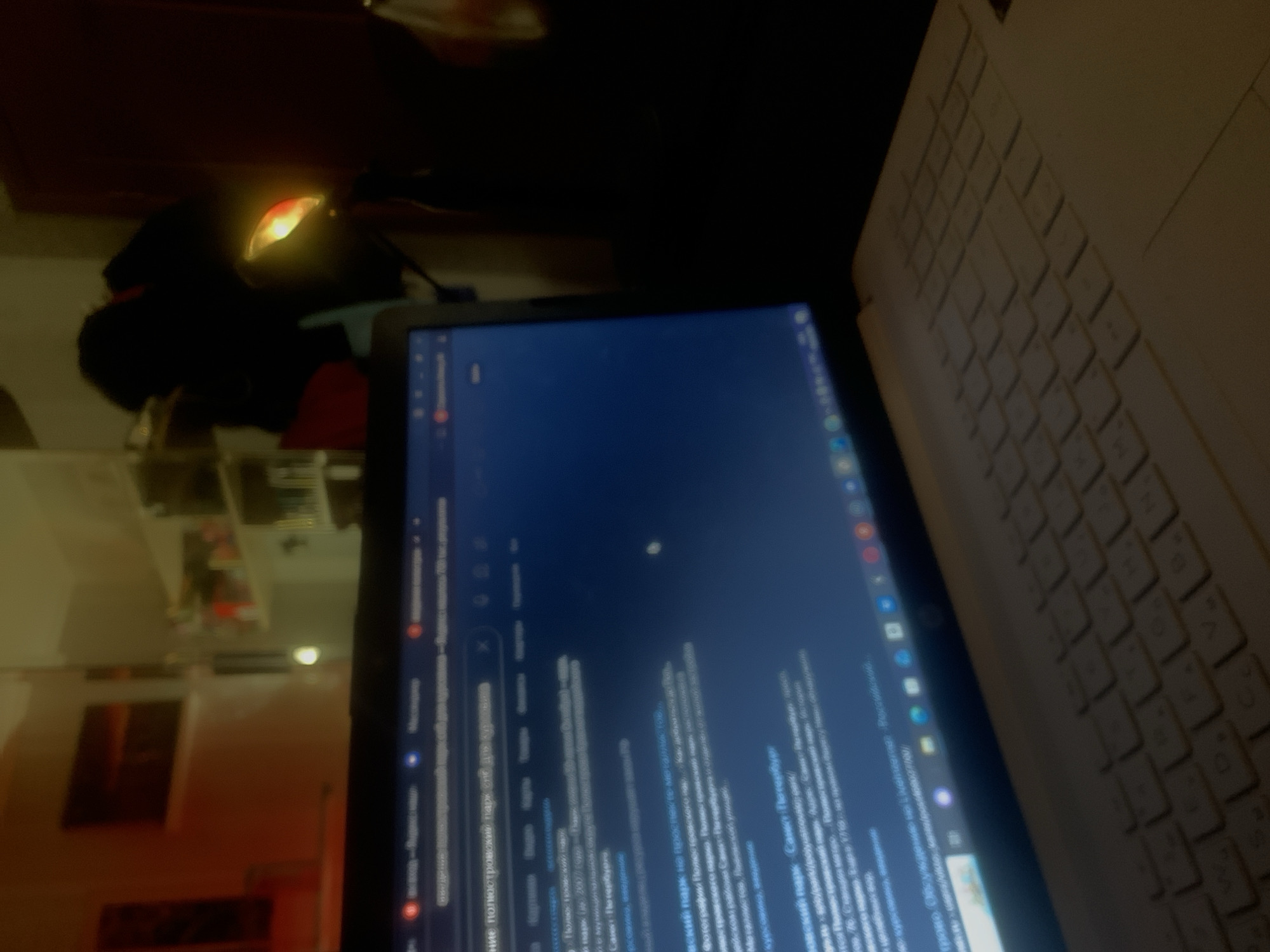 Laptop search for Poluostrovsky Park documented in Russia