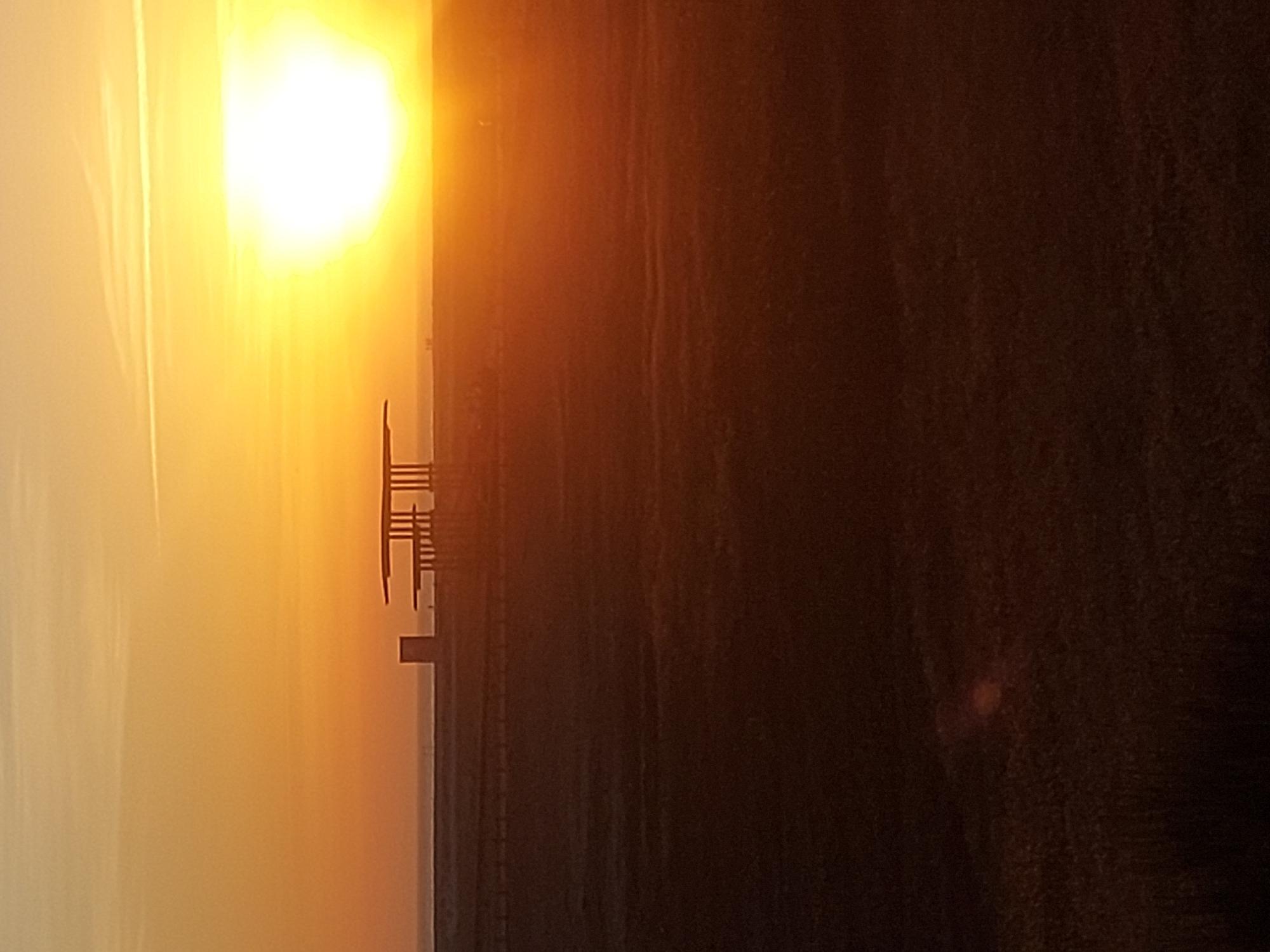 Witness documents golden hour sunset tour of Figueira da Foz waterfront