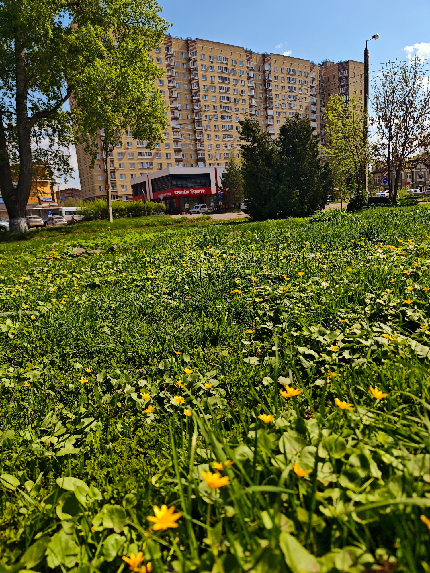 Woman poses with hand gesture amid spring flowers in Dmitrov
