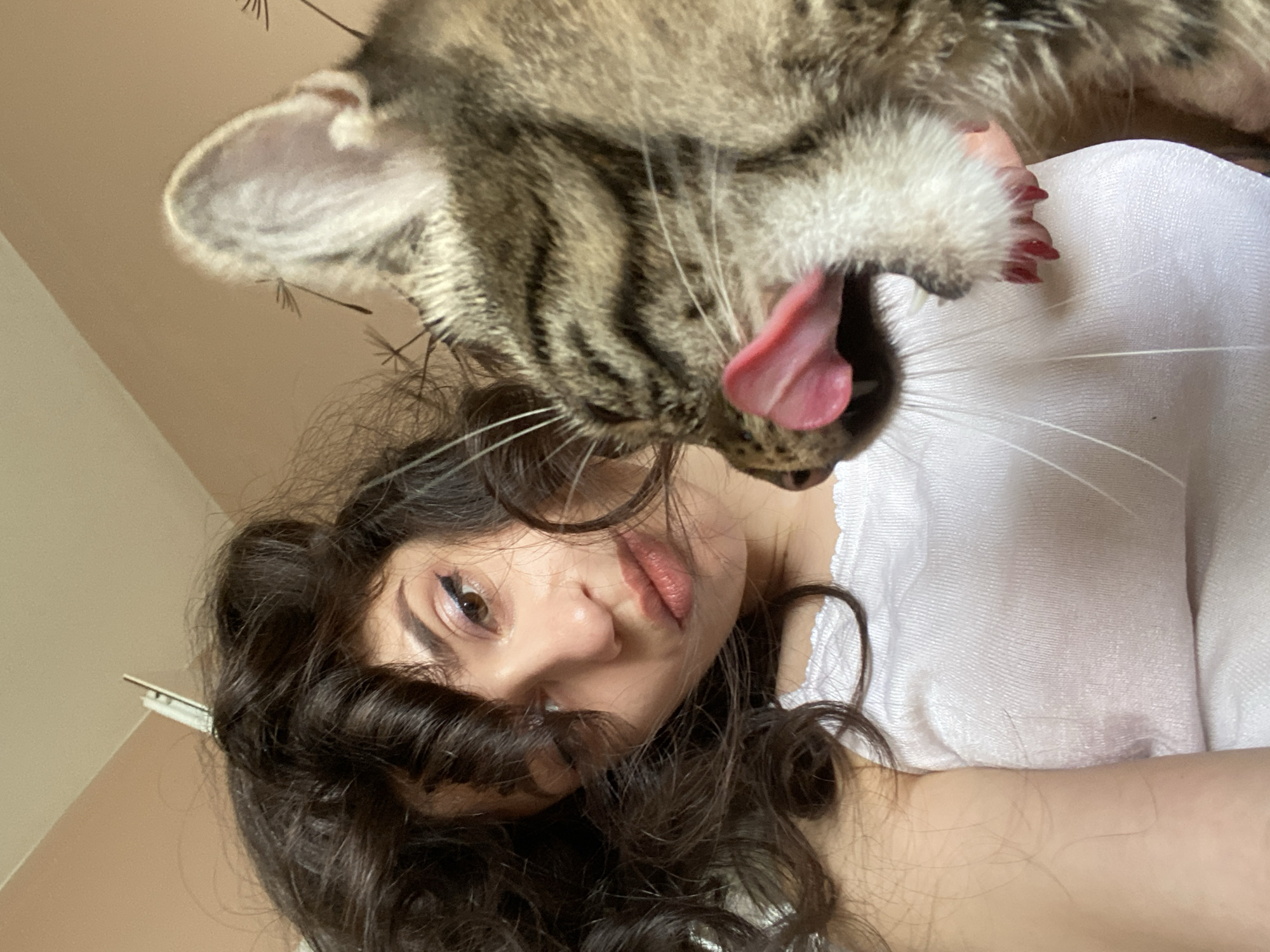 Woman takes selfies with affectionate tabby cat in Sofia
