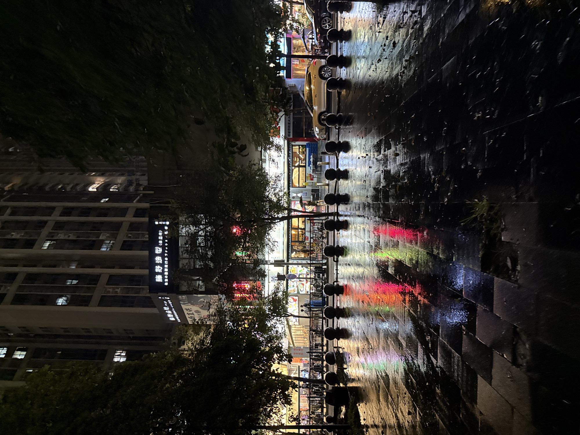 Rainy night on a neon-lit commercial street in Haizhu District