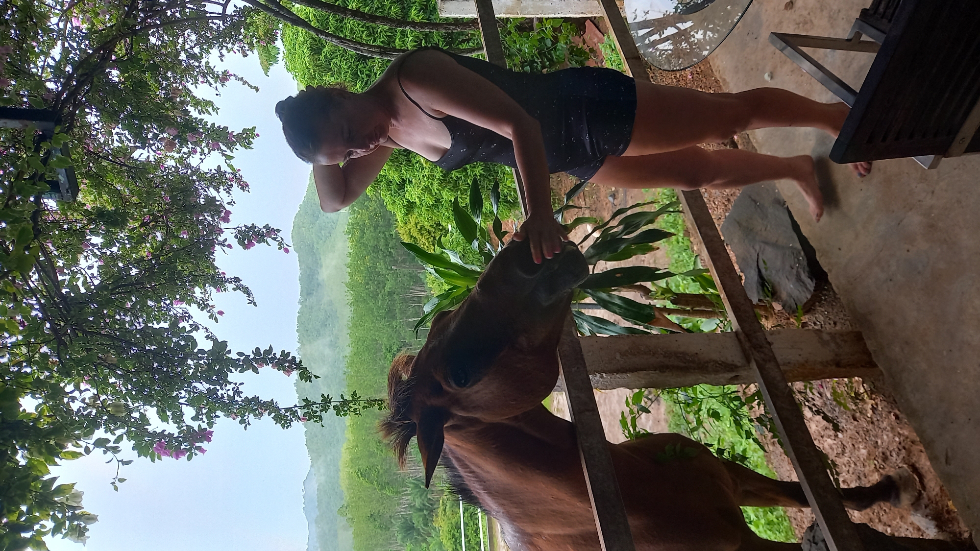 Woman feeds, pets brown horse on Thailand patio