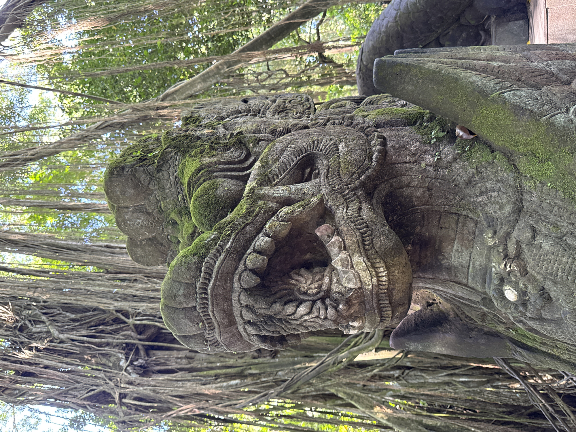 Inside Ubud's Monkey Forest: statues, banyan trees, and macaques
