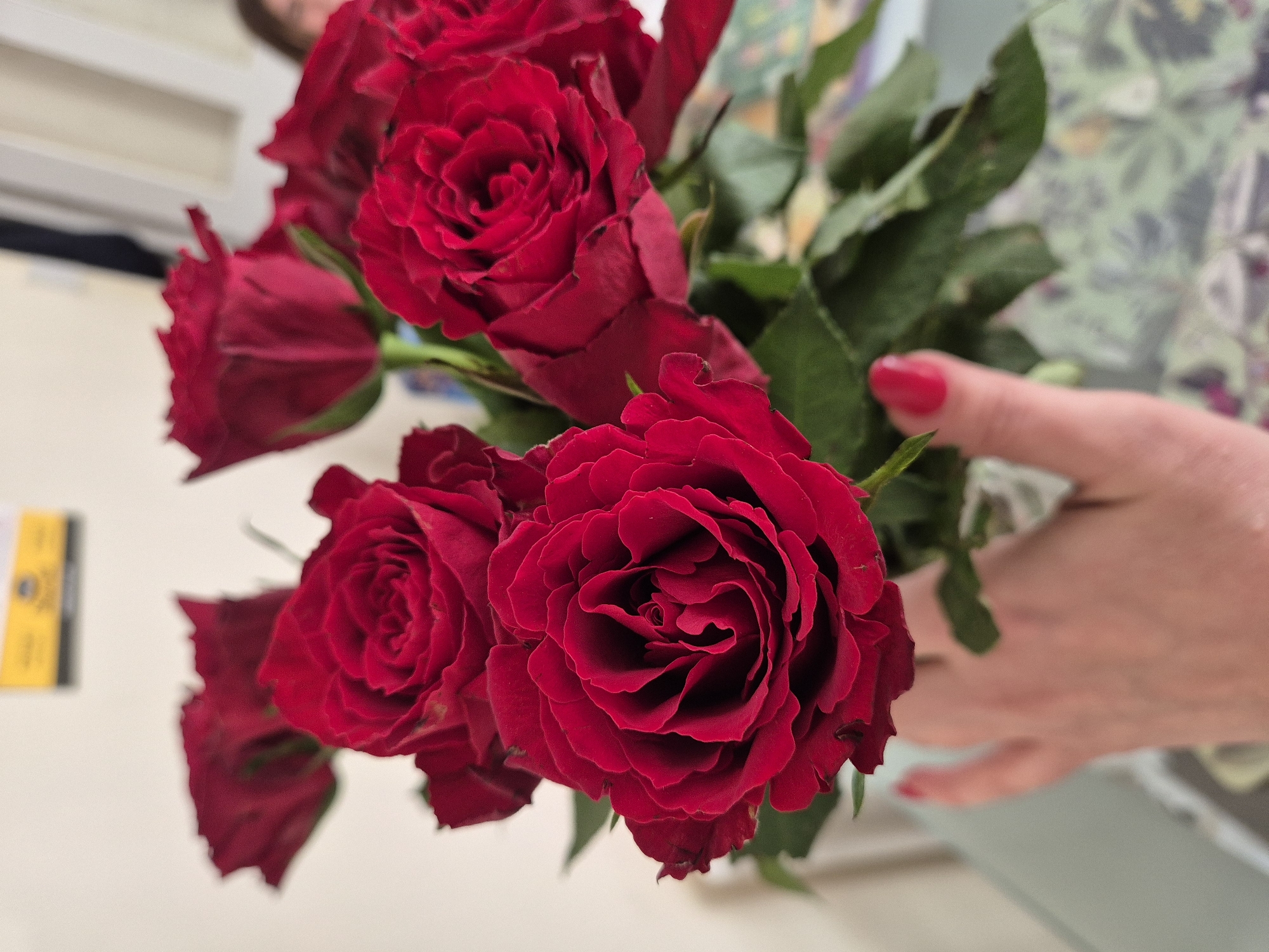 Person with red roses and strawberries enjoys croissant in Suffolk