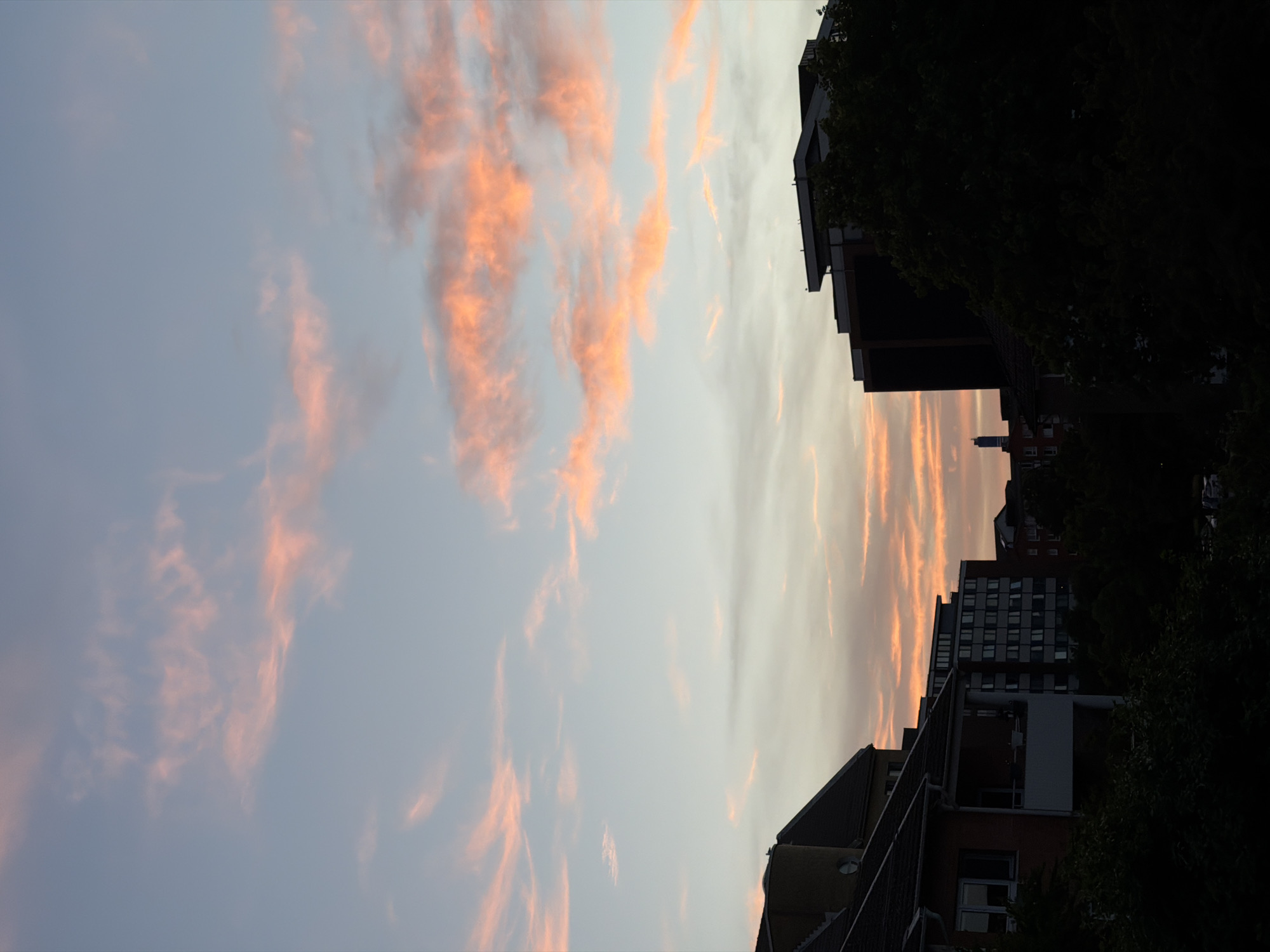 Sunset clouds over Helsingborg, with a bird in flight