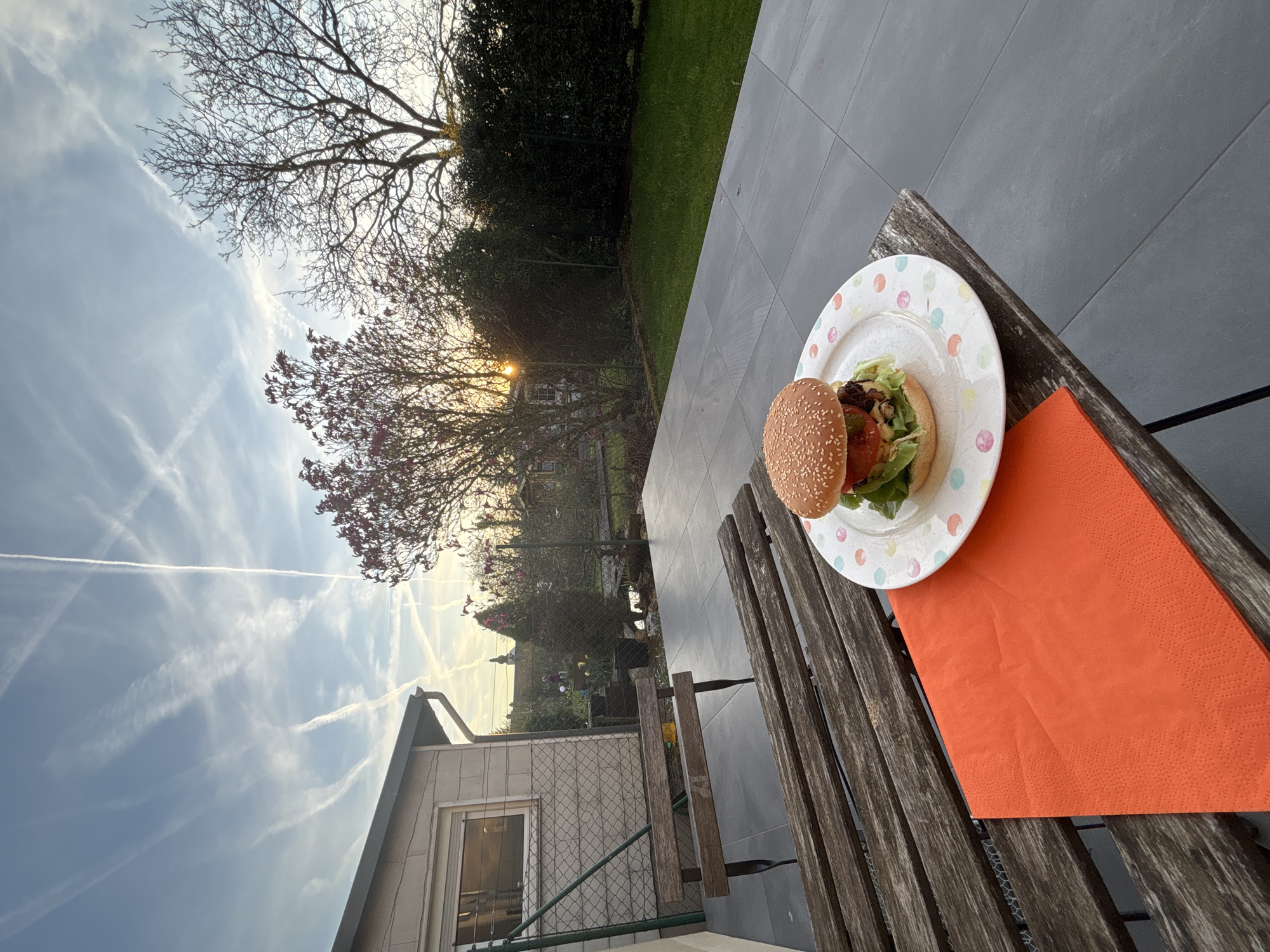 Hamburger meal captured at outdoor patio dining location