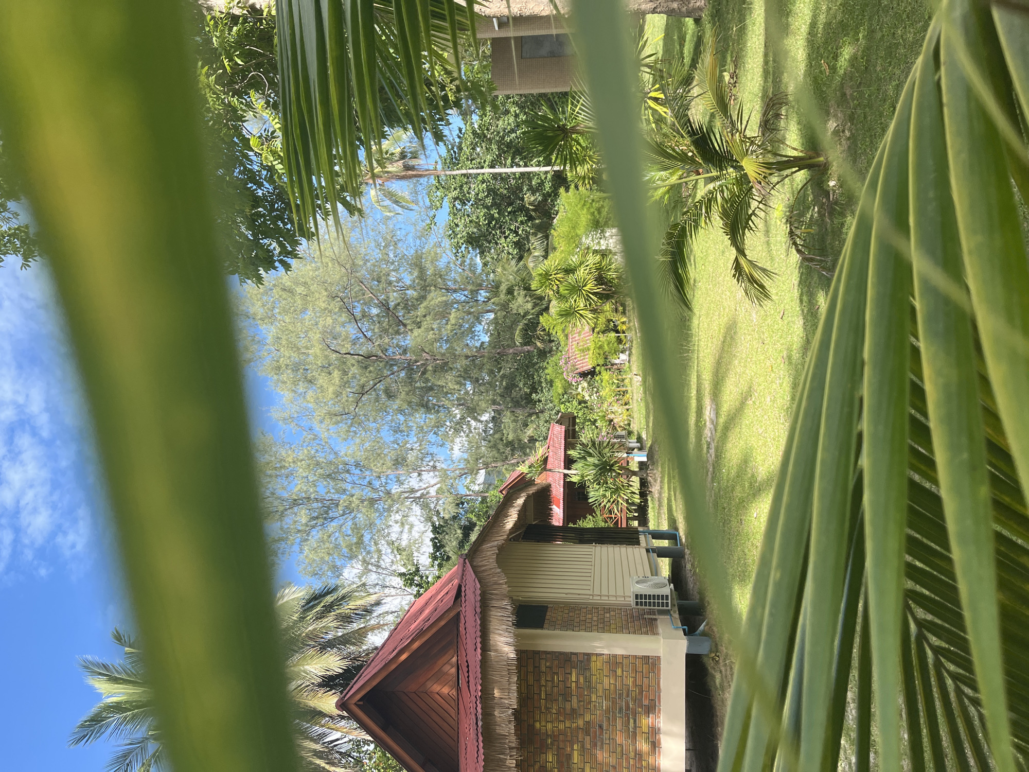 Morning resort life documented in Ko Pha Ngan, Thailand