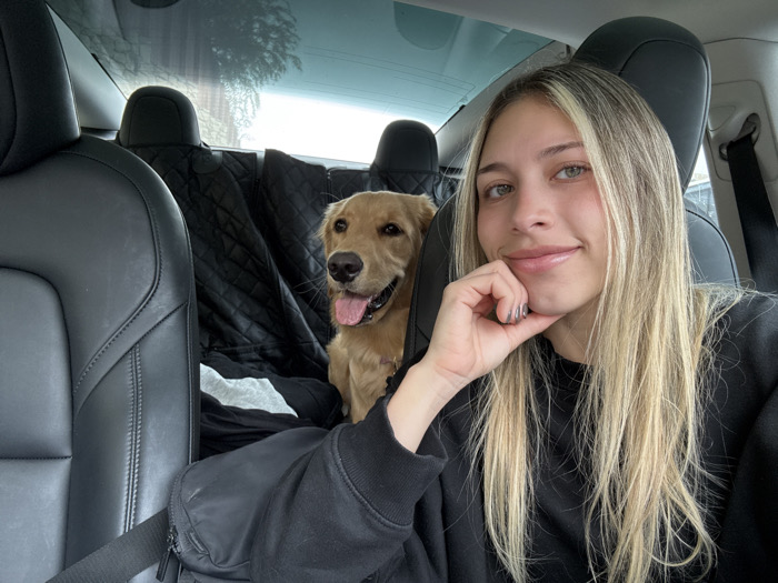 Casual moments captured in Monterrey: woman in vehicle, dog indoors