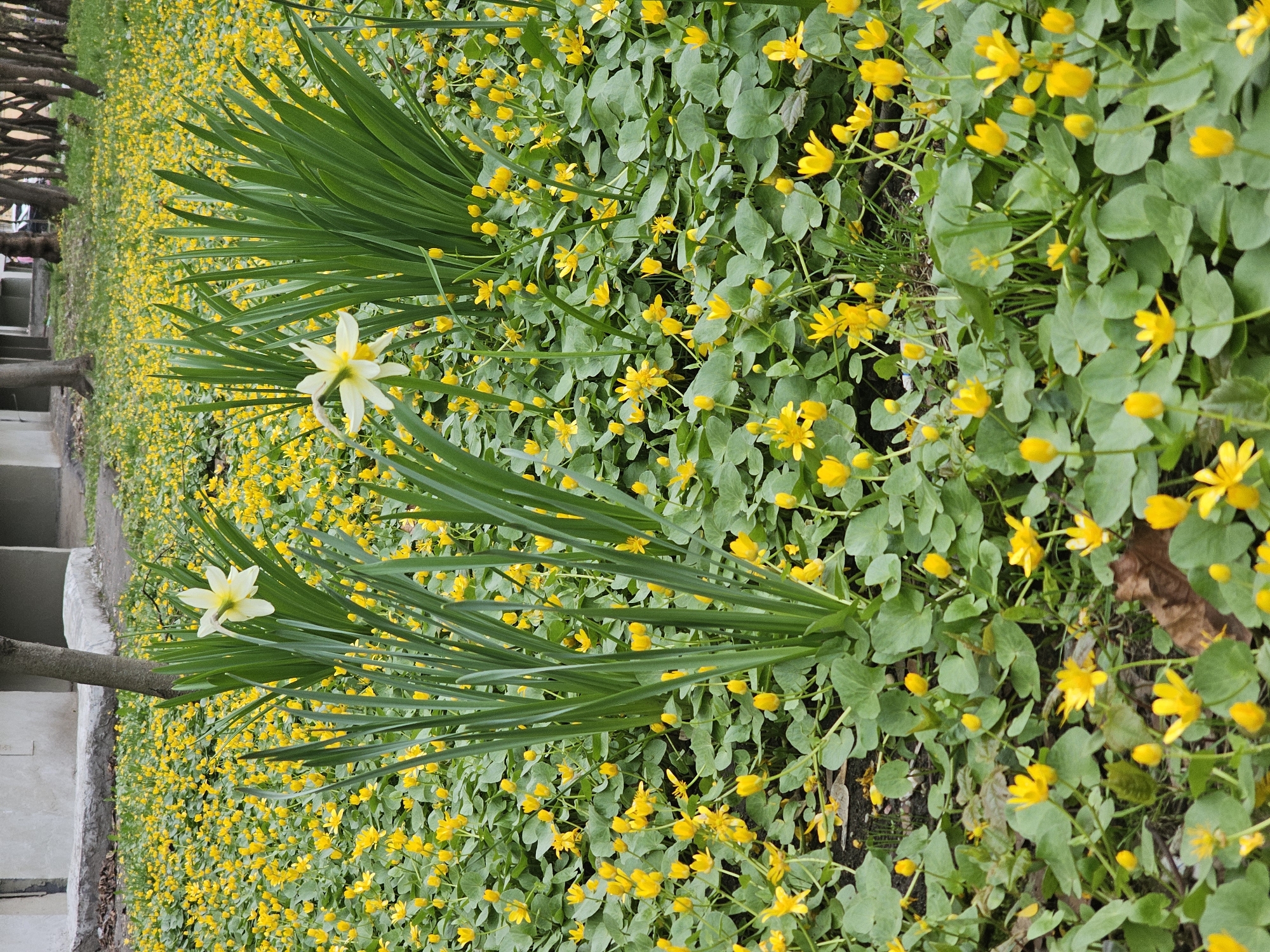 Spring day snapshots captured across Khimki commercial districts