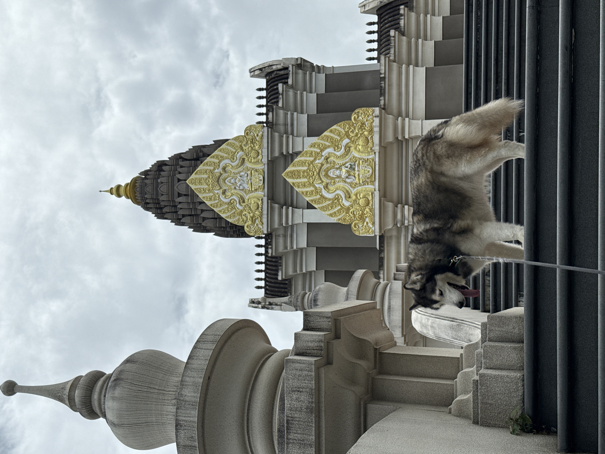 Husky, cats, and ants at Wat Chalong on a grey morning