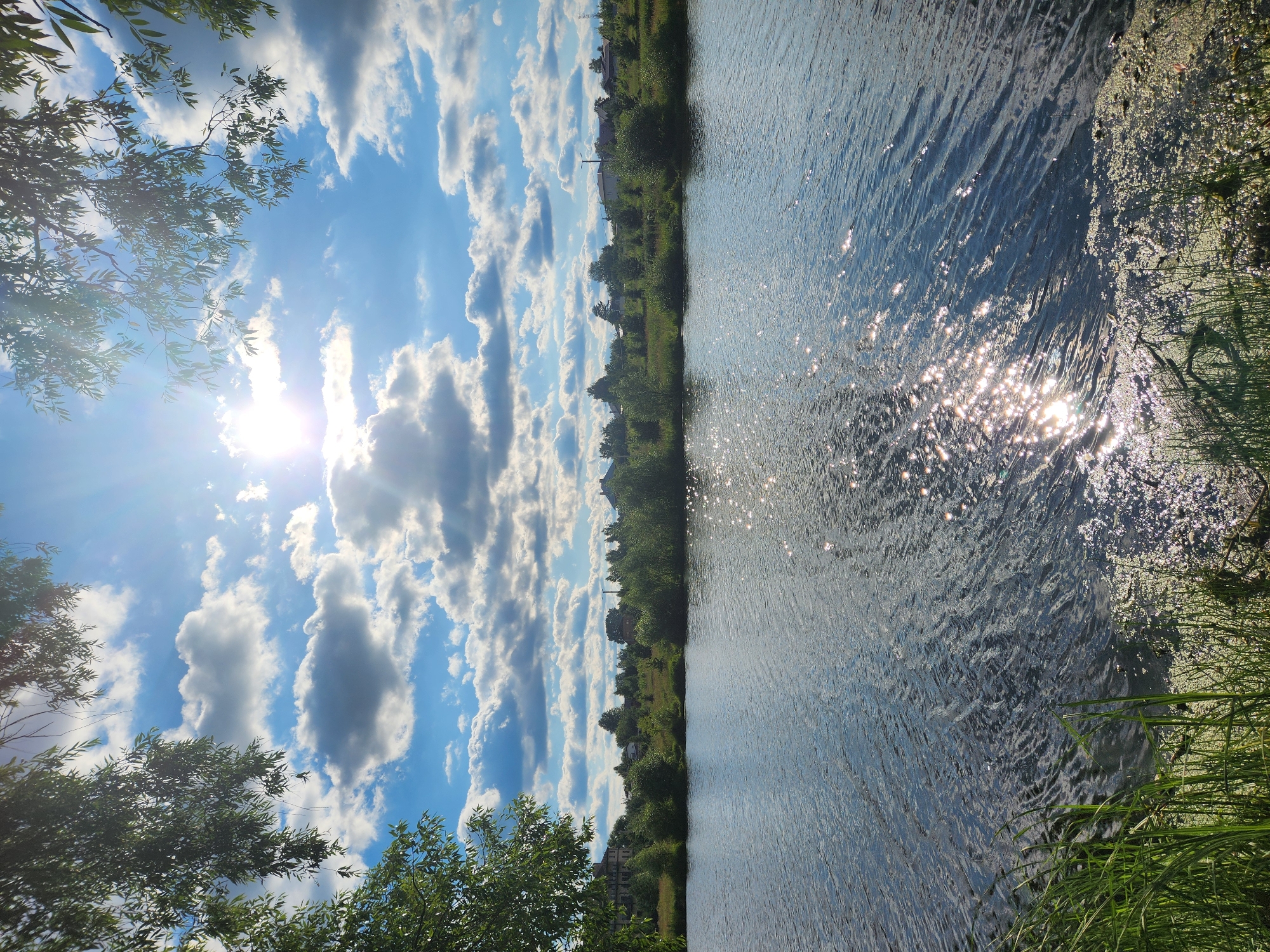 Lazy summer afternoon at an overgrown lakeside in Vniissok