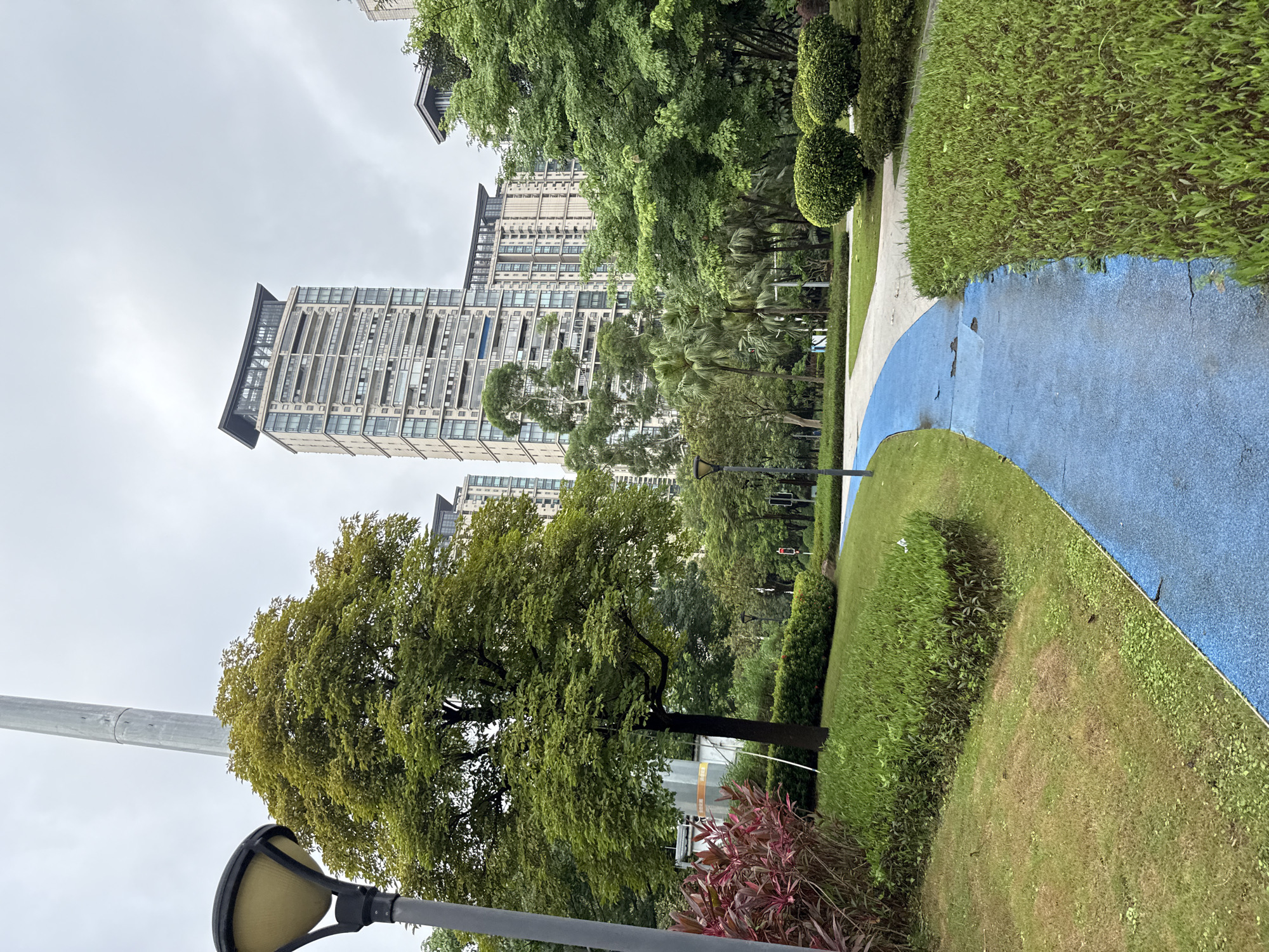 Haizhu riverside park: pathways, palms, and the Guangzhou skyline