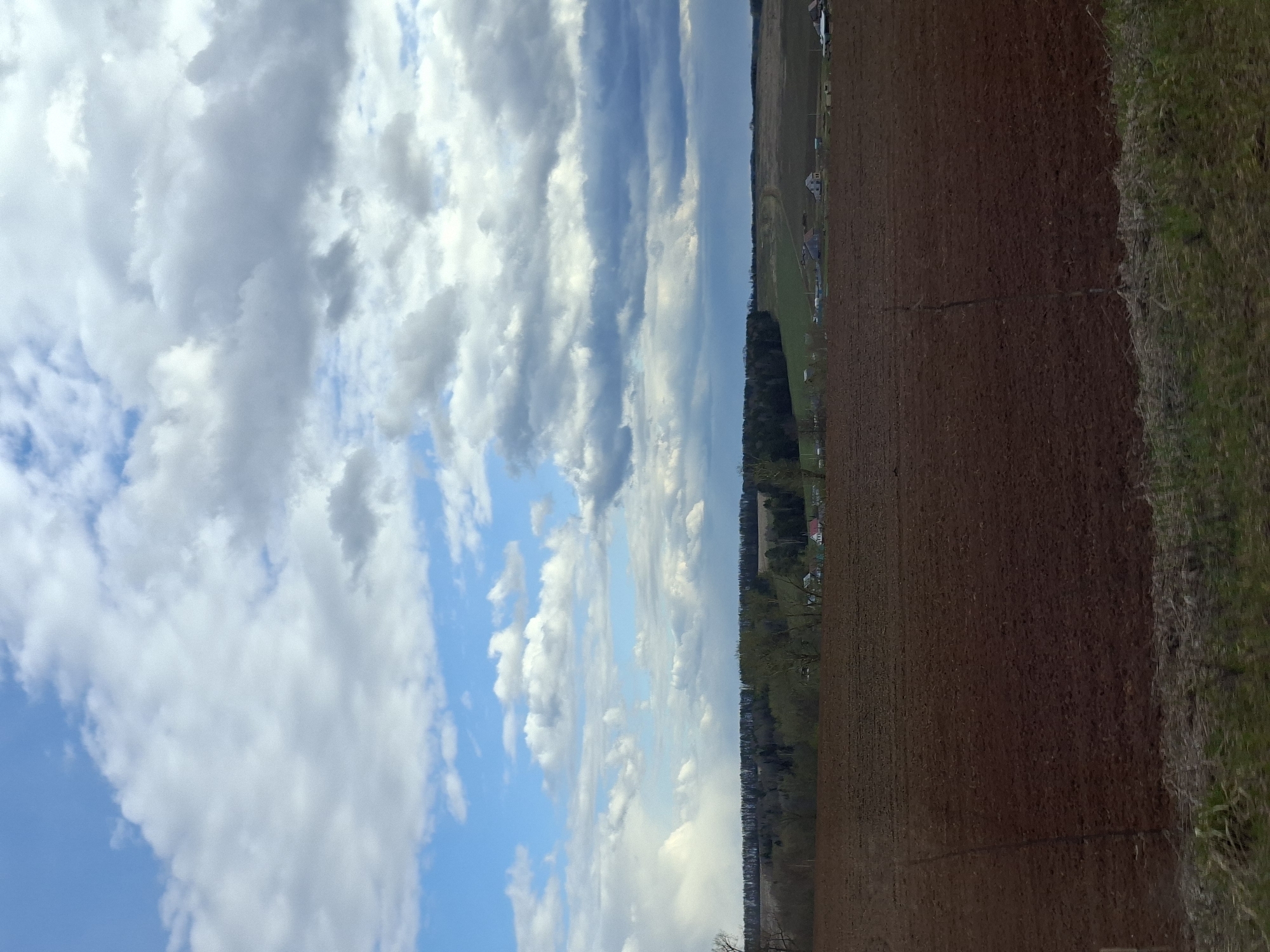 Rural landscape documented in Rusalevka, Russia fields and roadway