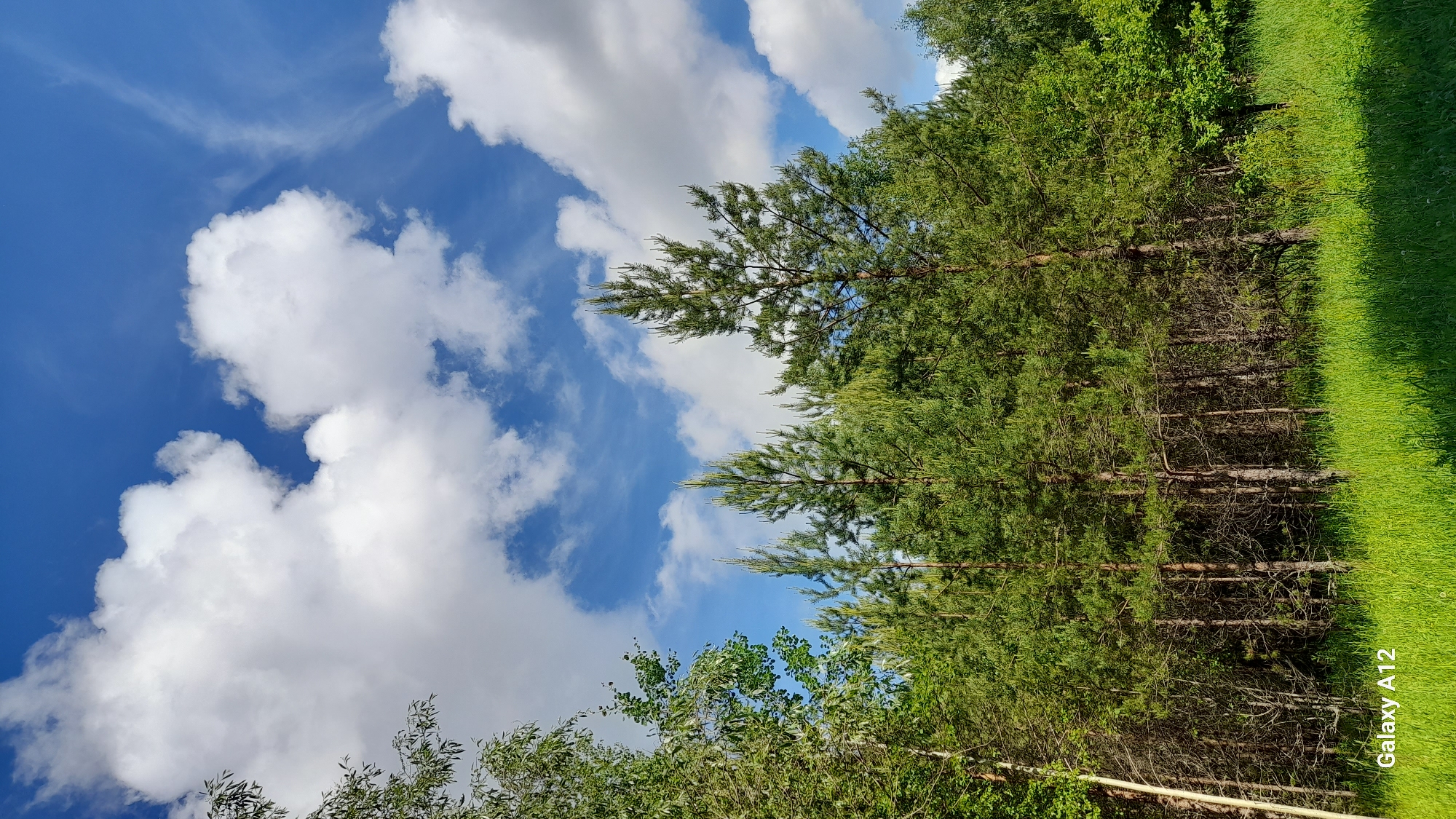Morning nature photography session documented in rural Марковский, Russia