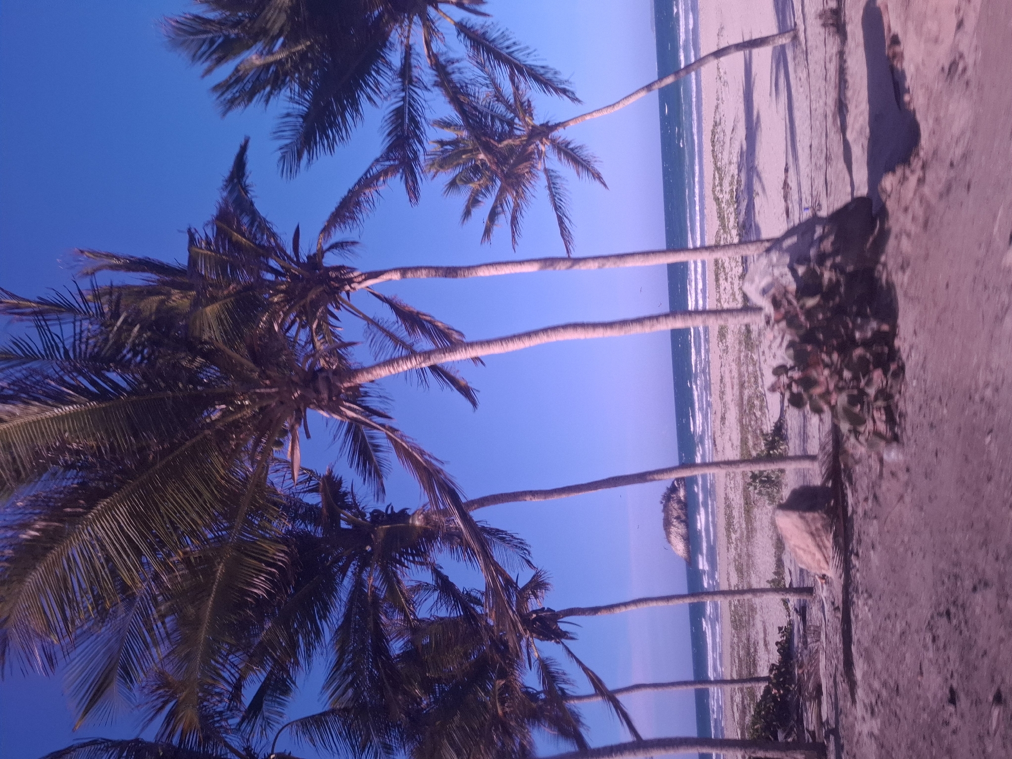 Evening beach scene documented at Playa El Agua, Venezuela