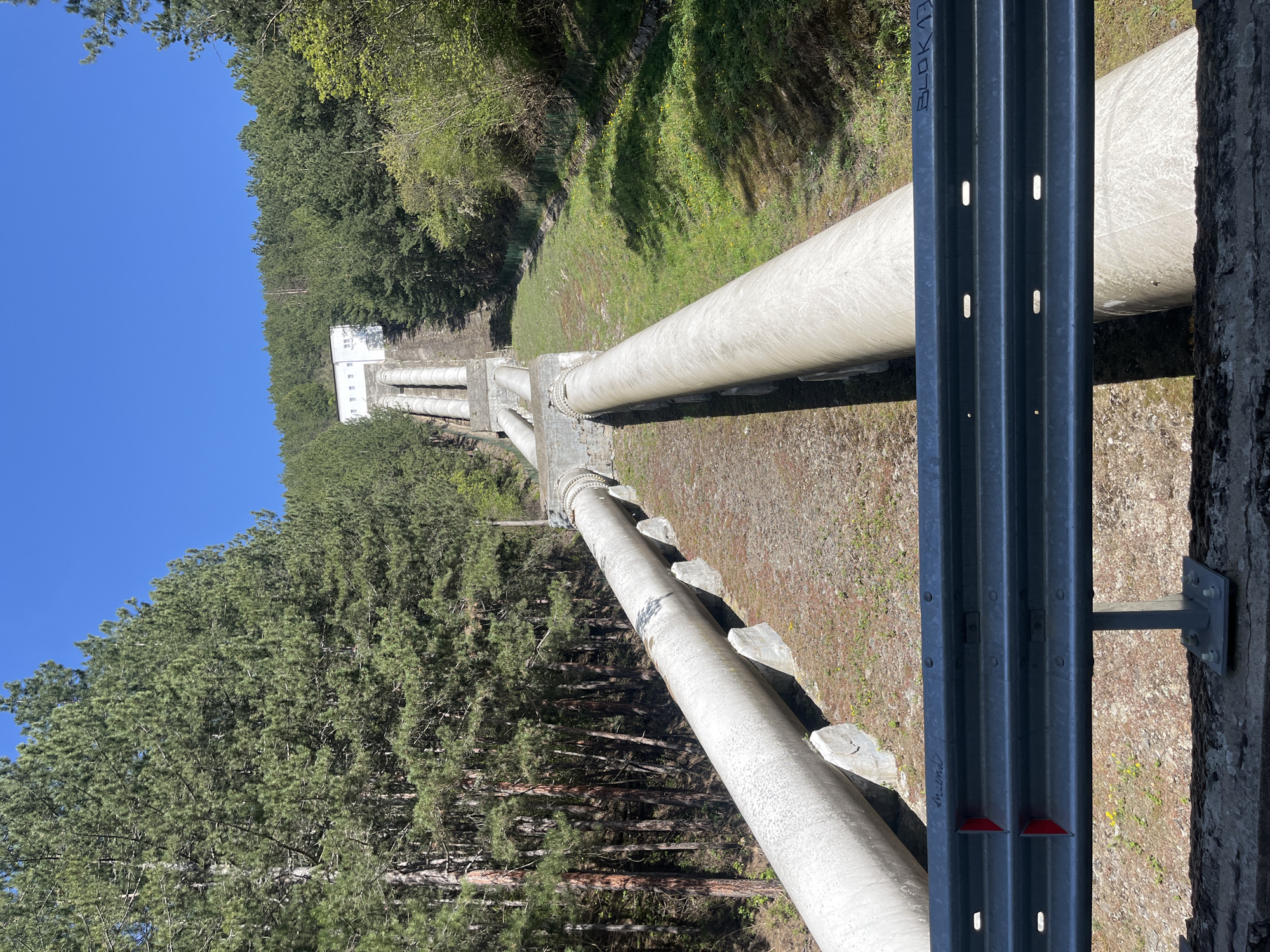 Industrial water pipelines documented in Bulgarian forest near Kokalyane
