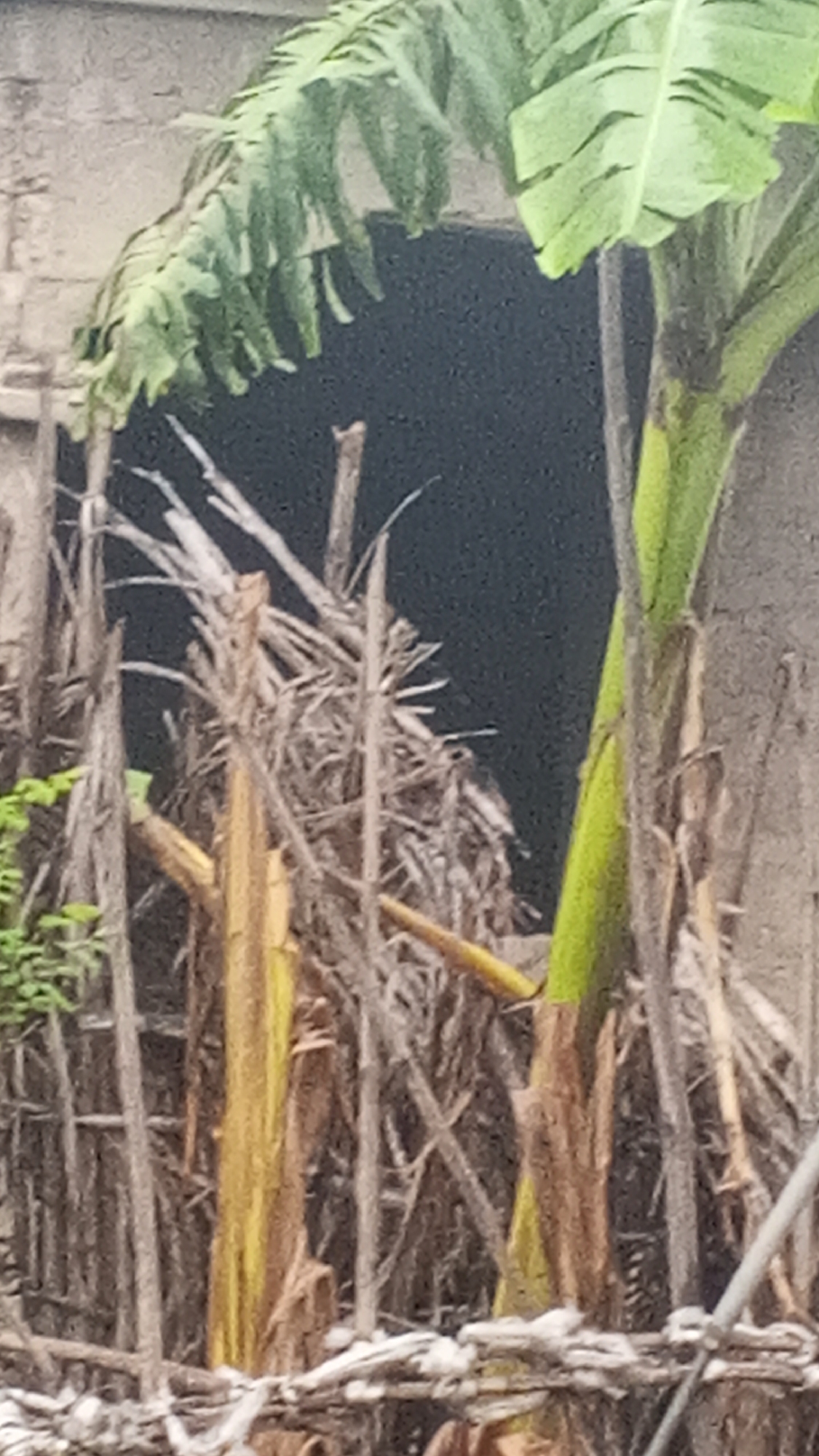 Street-level morning scenes from Mararaba, Nigeria