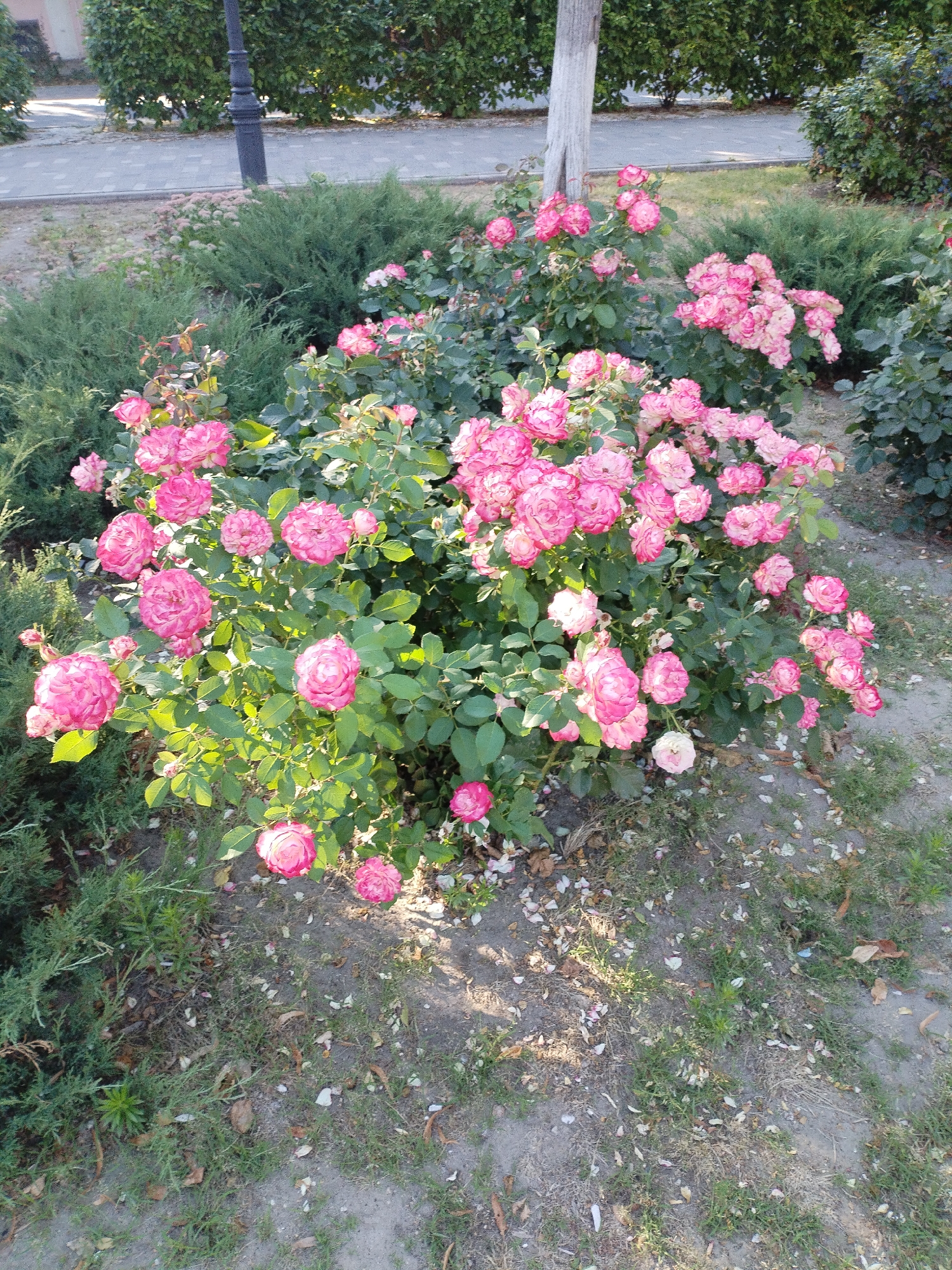 Afternoon in Azov: parks, fountains, statues, and gardens