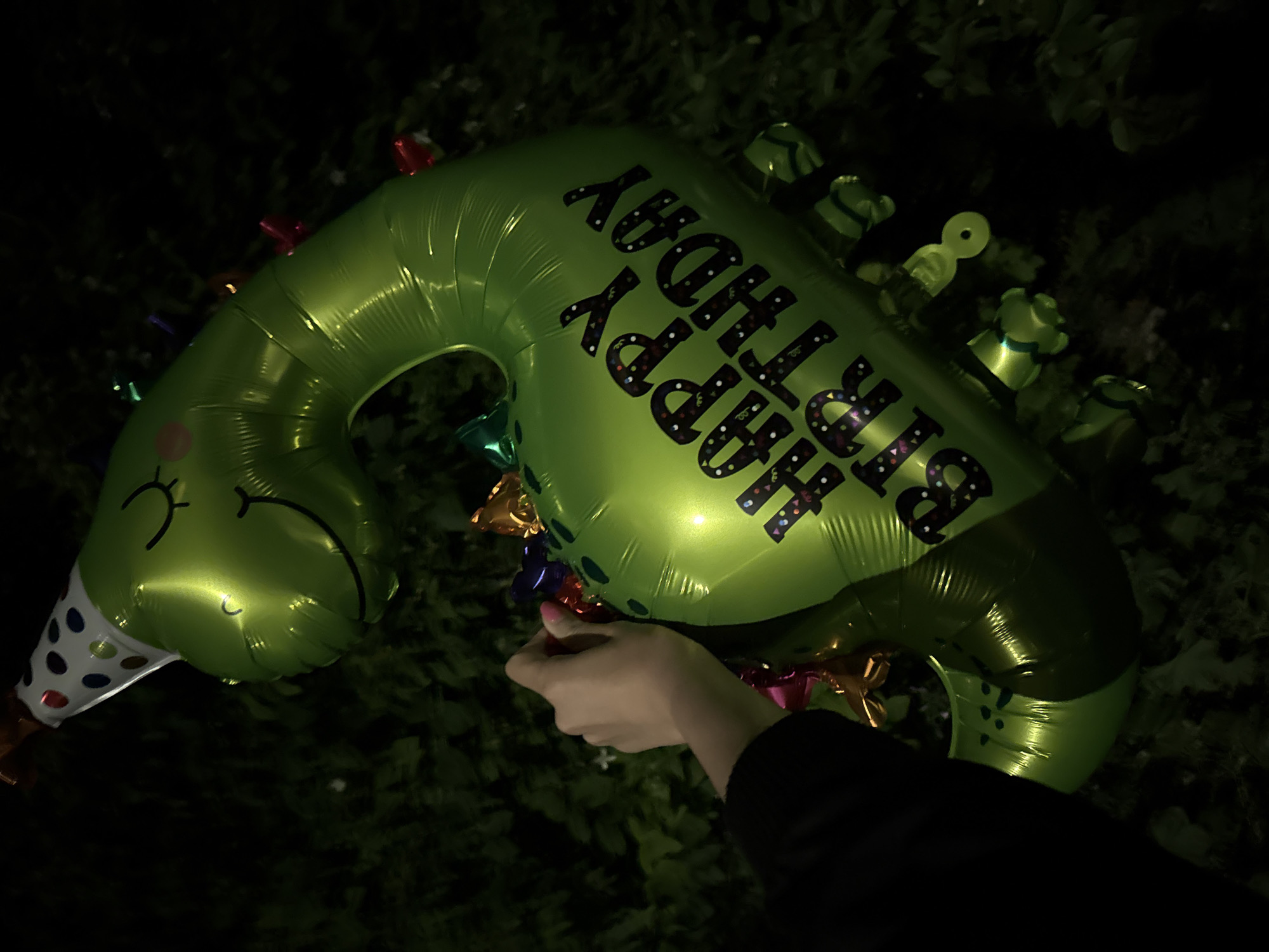 Birthday party with green dinosaur balloon and small dog