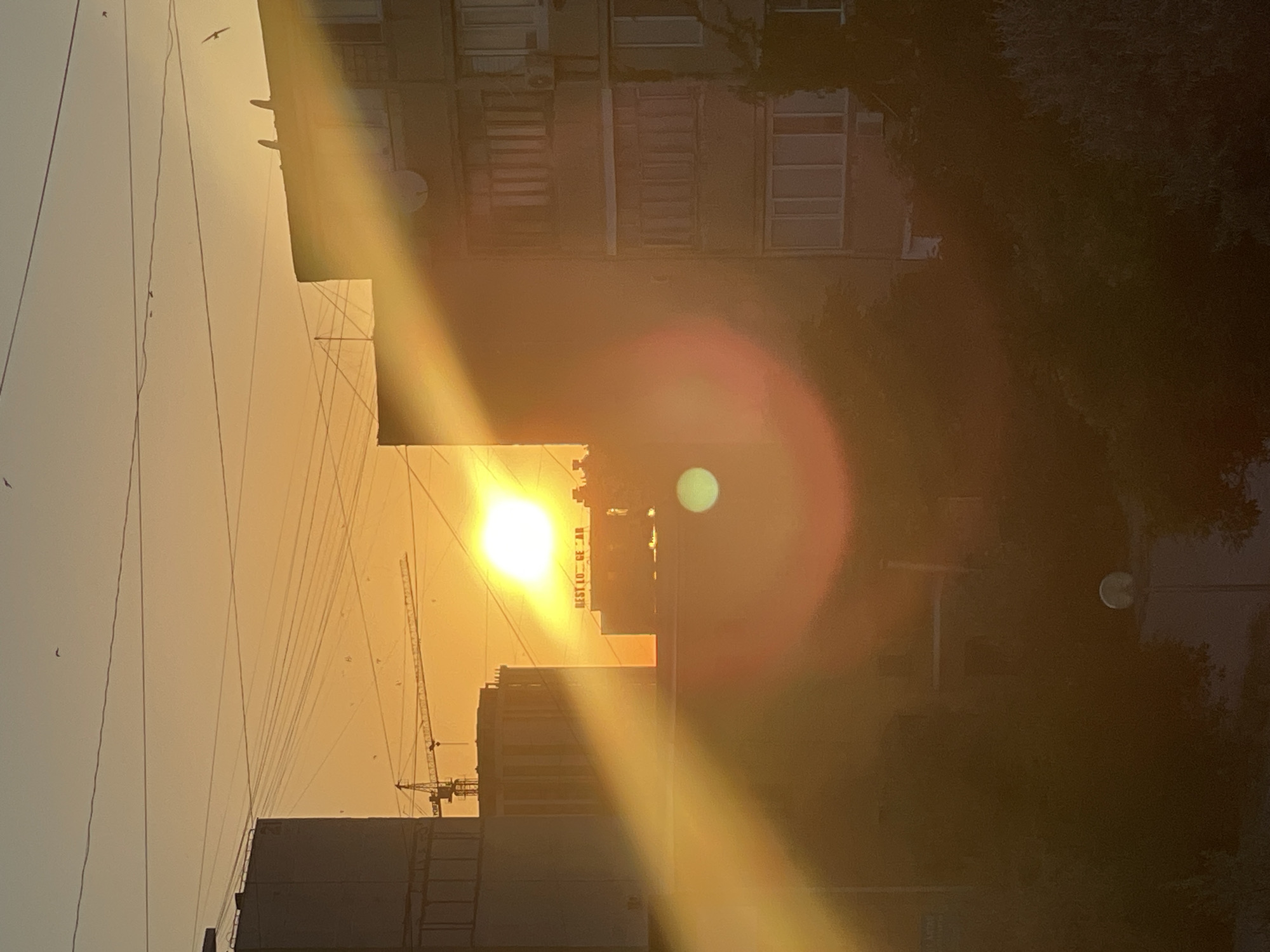 Aktau sunset and cats settling in for the evening