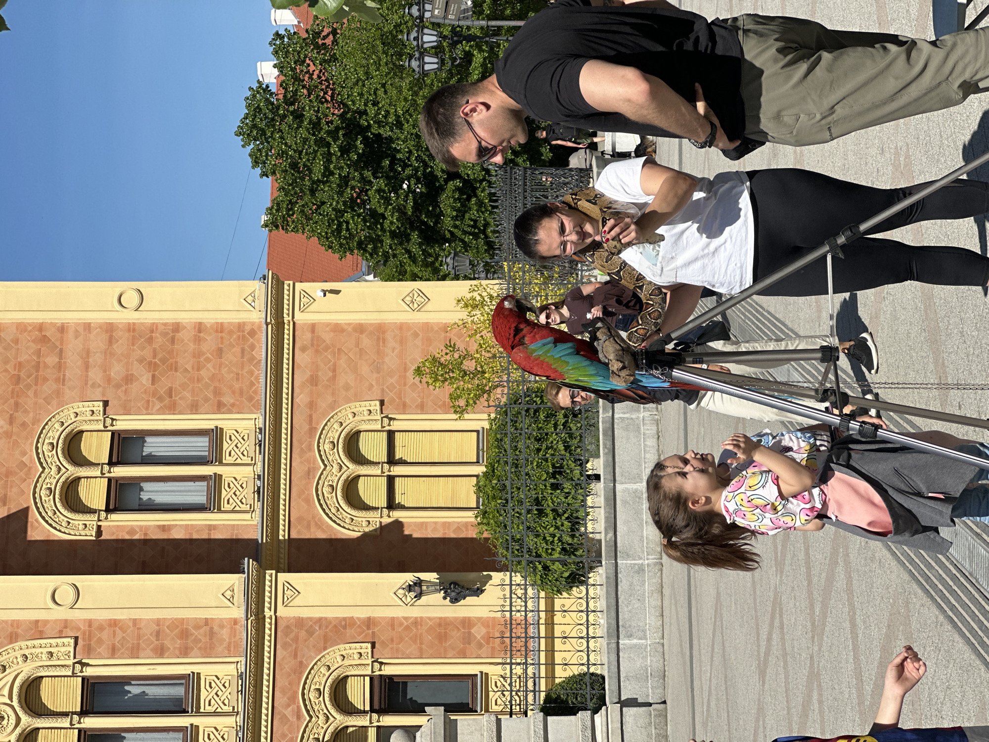 Everyday scenes documented across Novi Sad streets and interiors