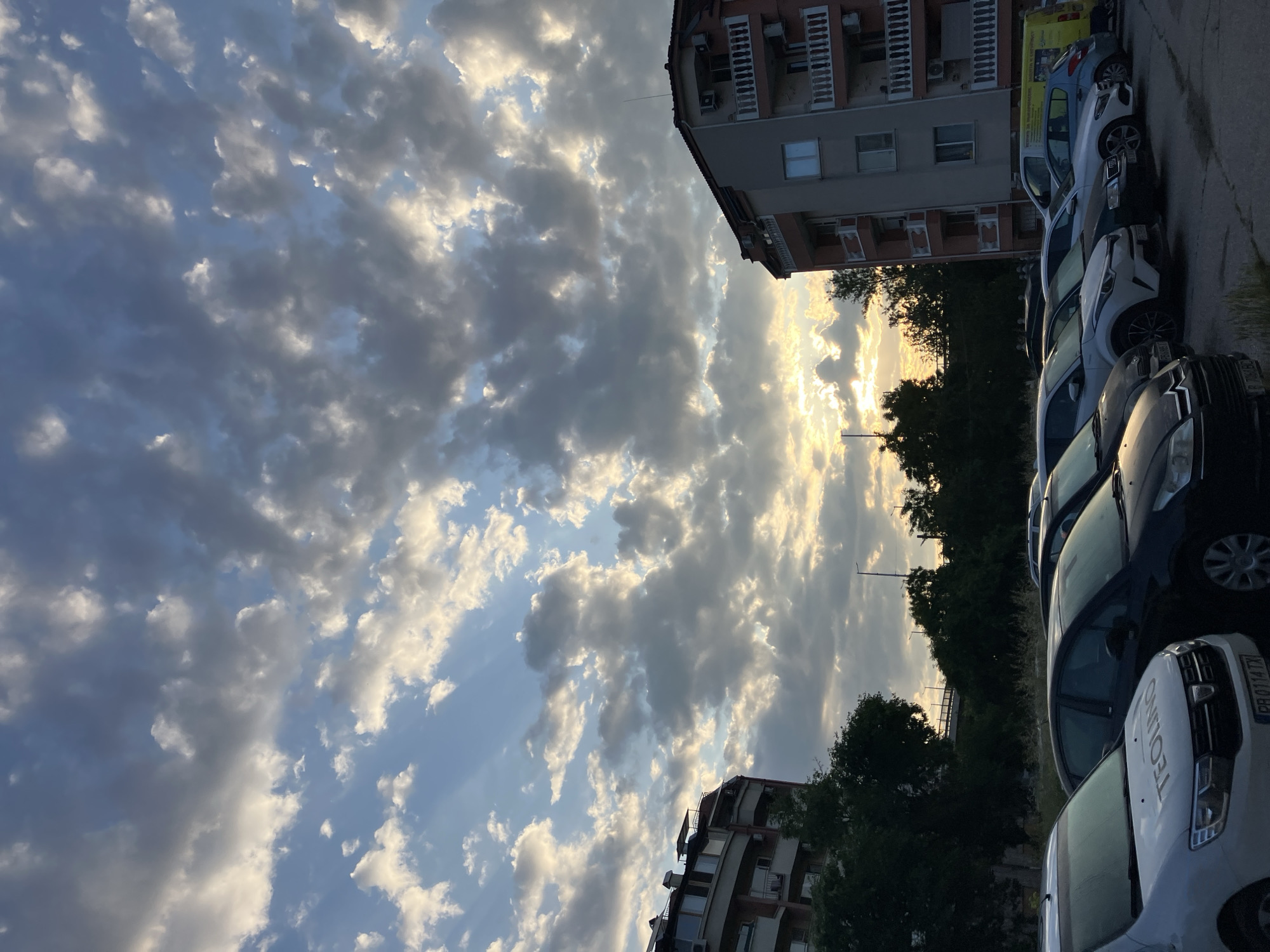Evening dog walk documented through photos in Plovdiv, Bulgaria