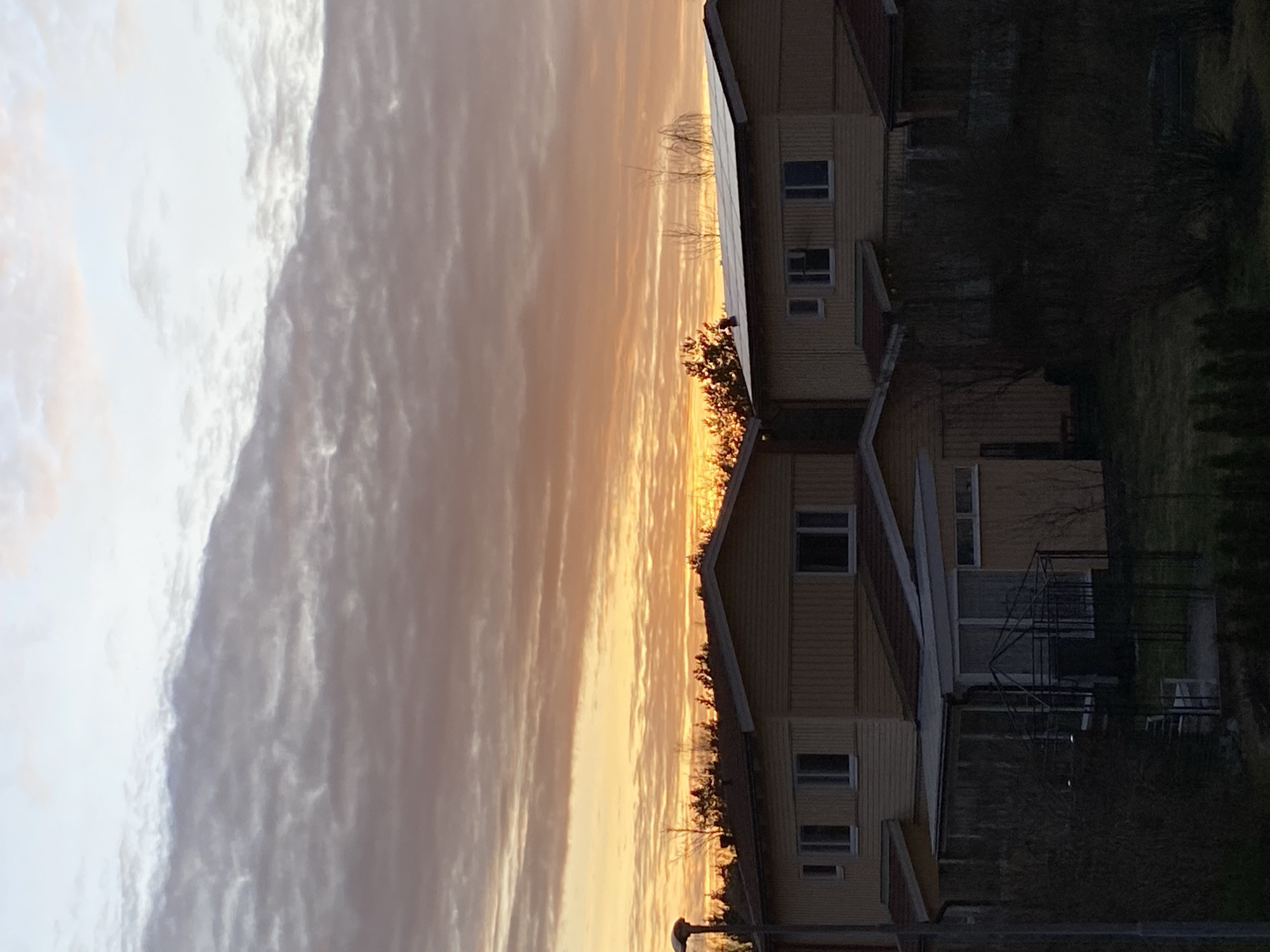 Cat owner documents evening pet activities during sunset in Sweden